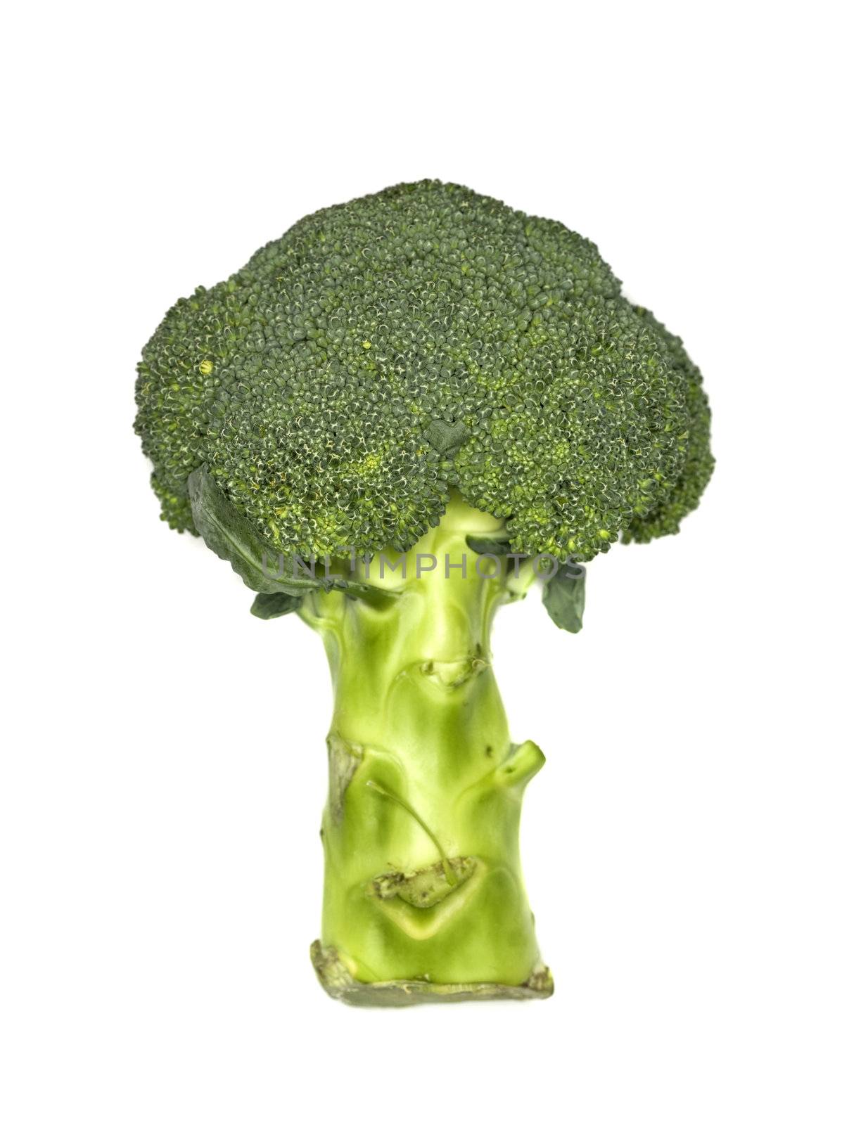 Fresh broccoli by gemenacom