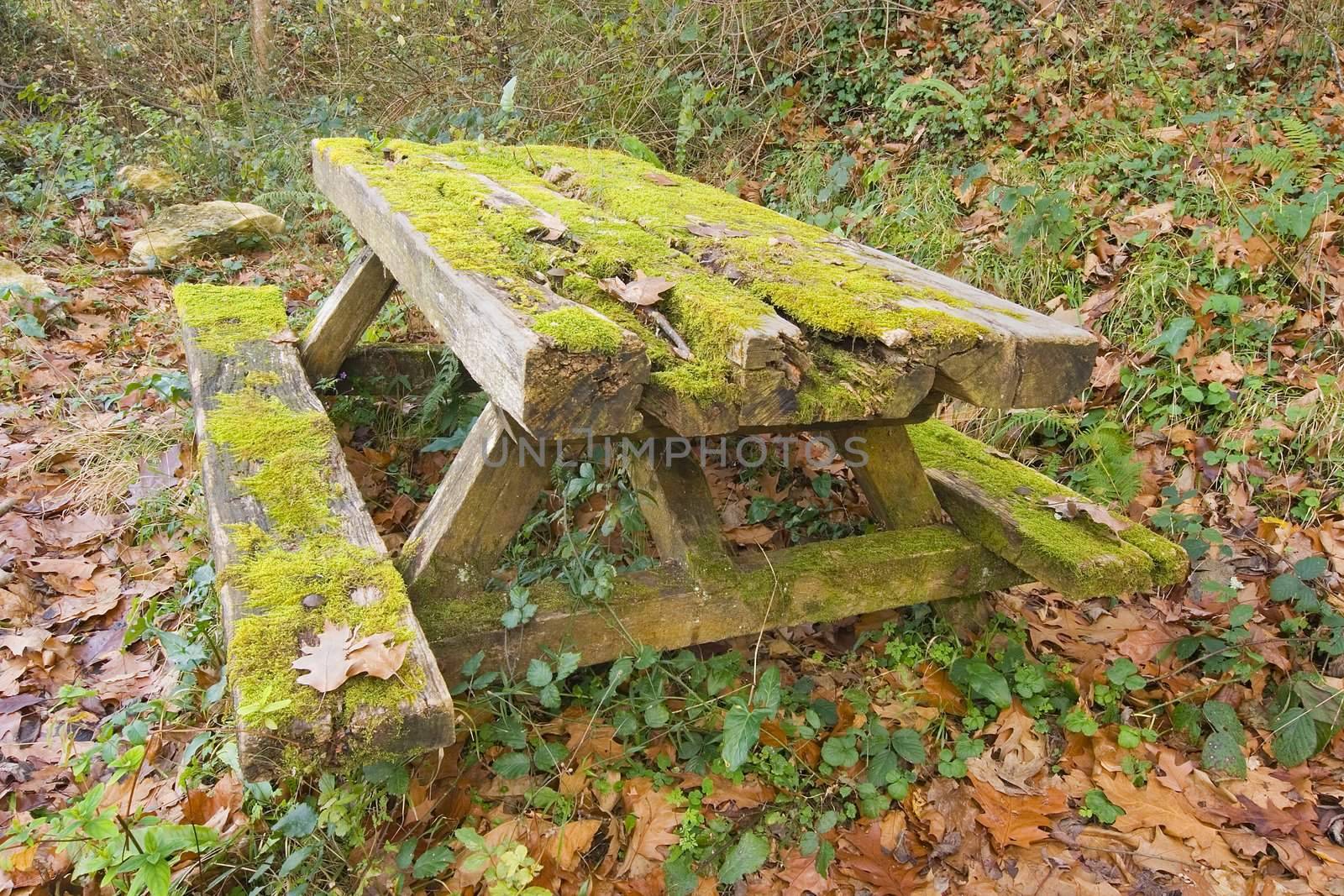 image of a lonely table made of wood