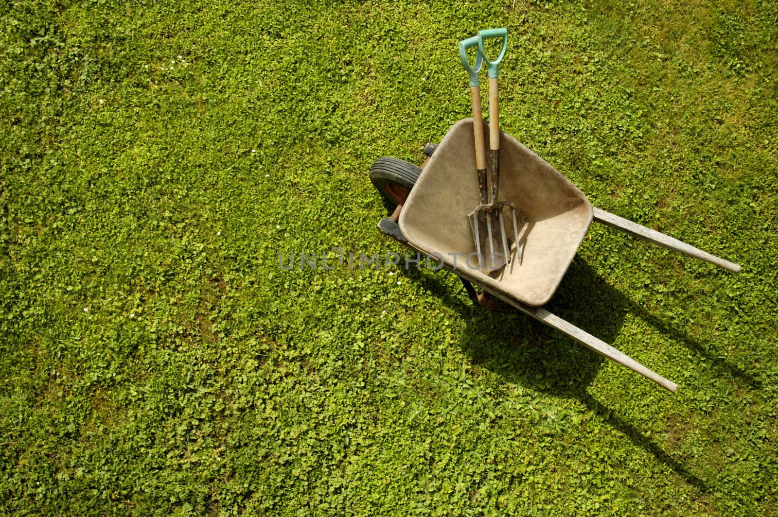 Vertical view of a wheelbarrow, with garden tools, on a green lawn. One or two daisies dot the lawn. Space for text on the green of the grass.
