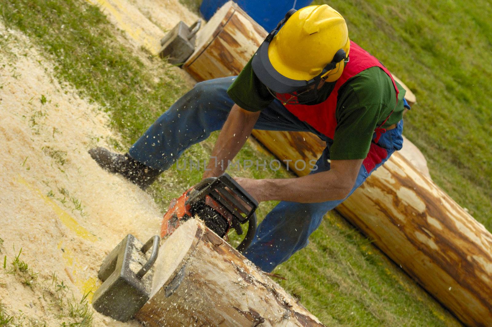 Logger in action by Bateleur