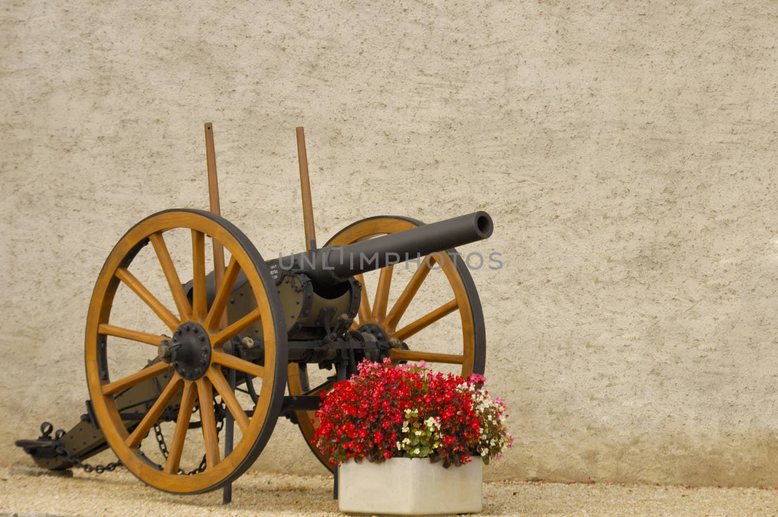 An old cannon outside a castle in Switzerland, guarding a tub of begonias.