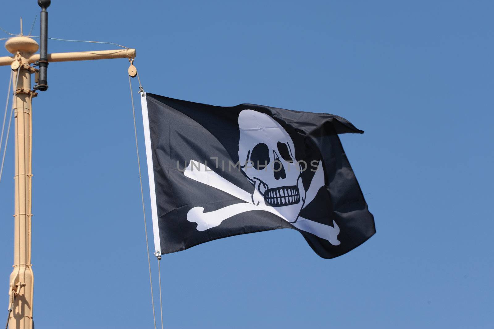 Pirate flag by Alenmax