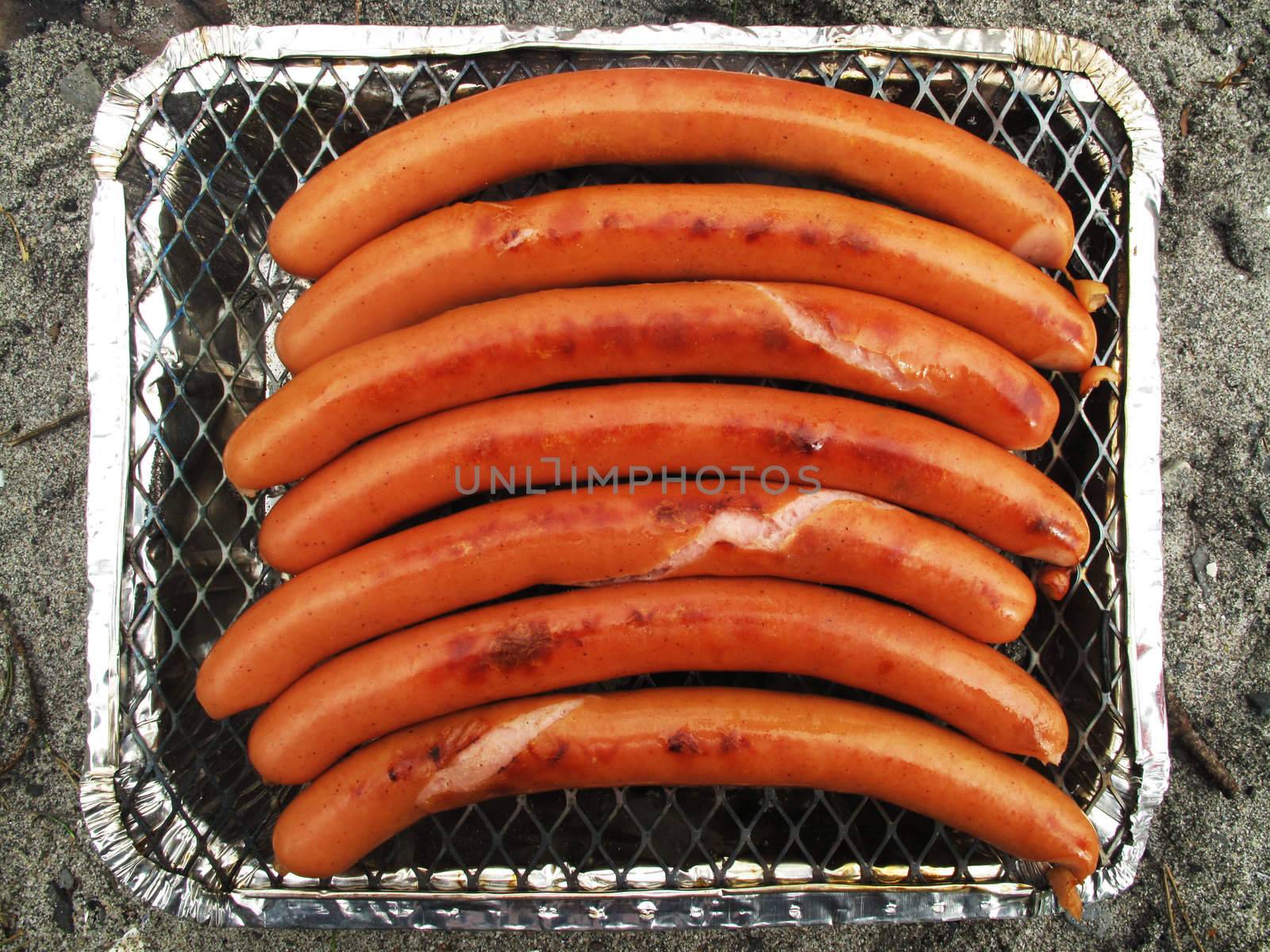 The sausage in the grill. Summer picnic.                          