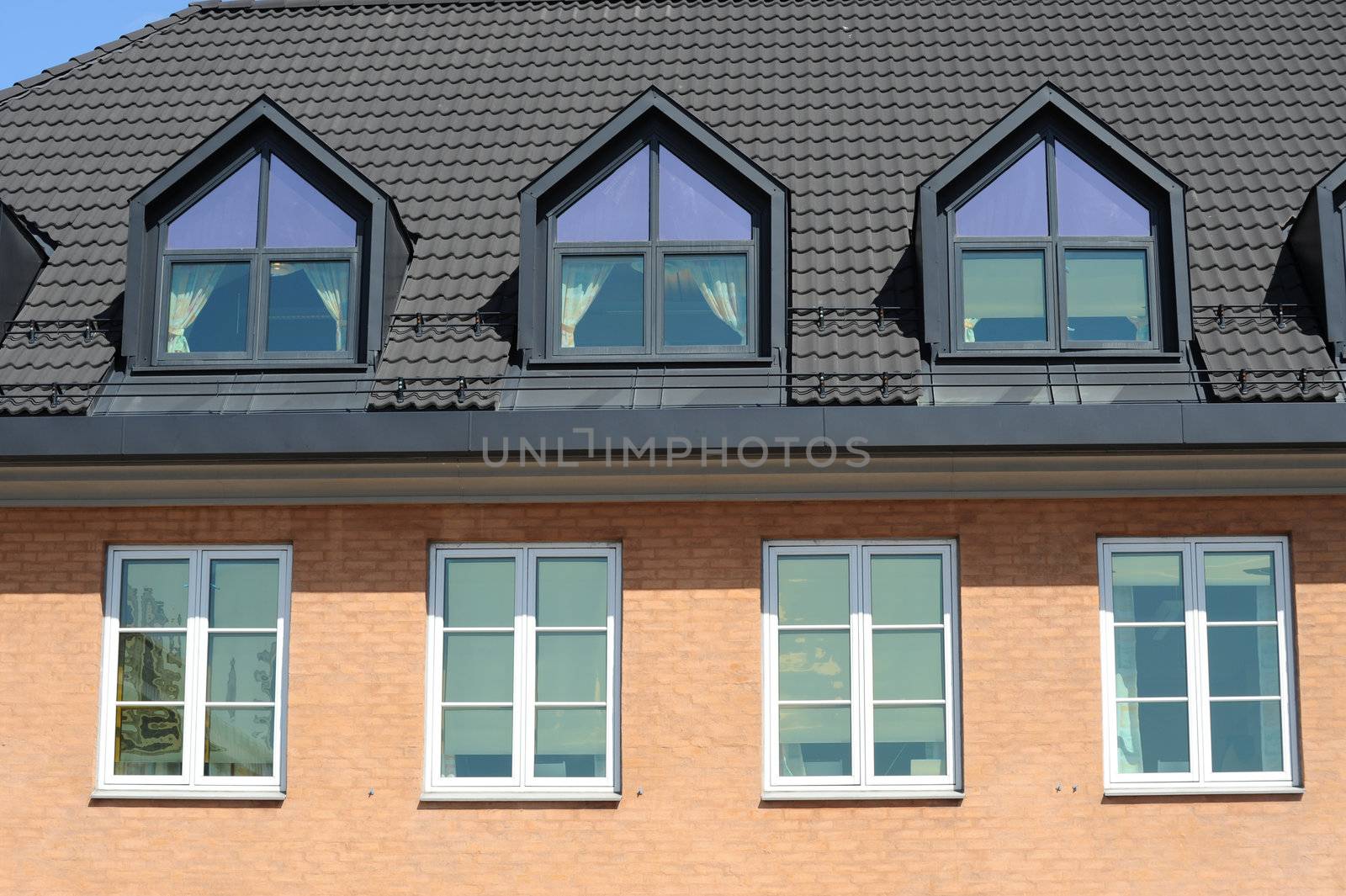 Roof and windows by Alenmax