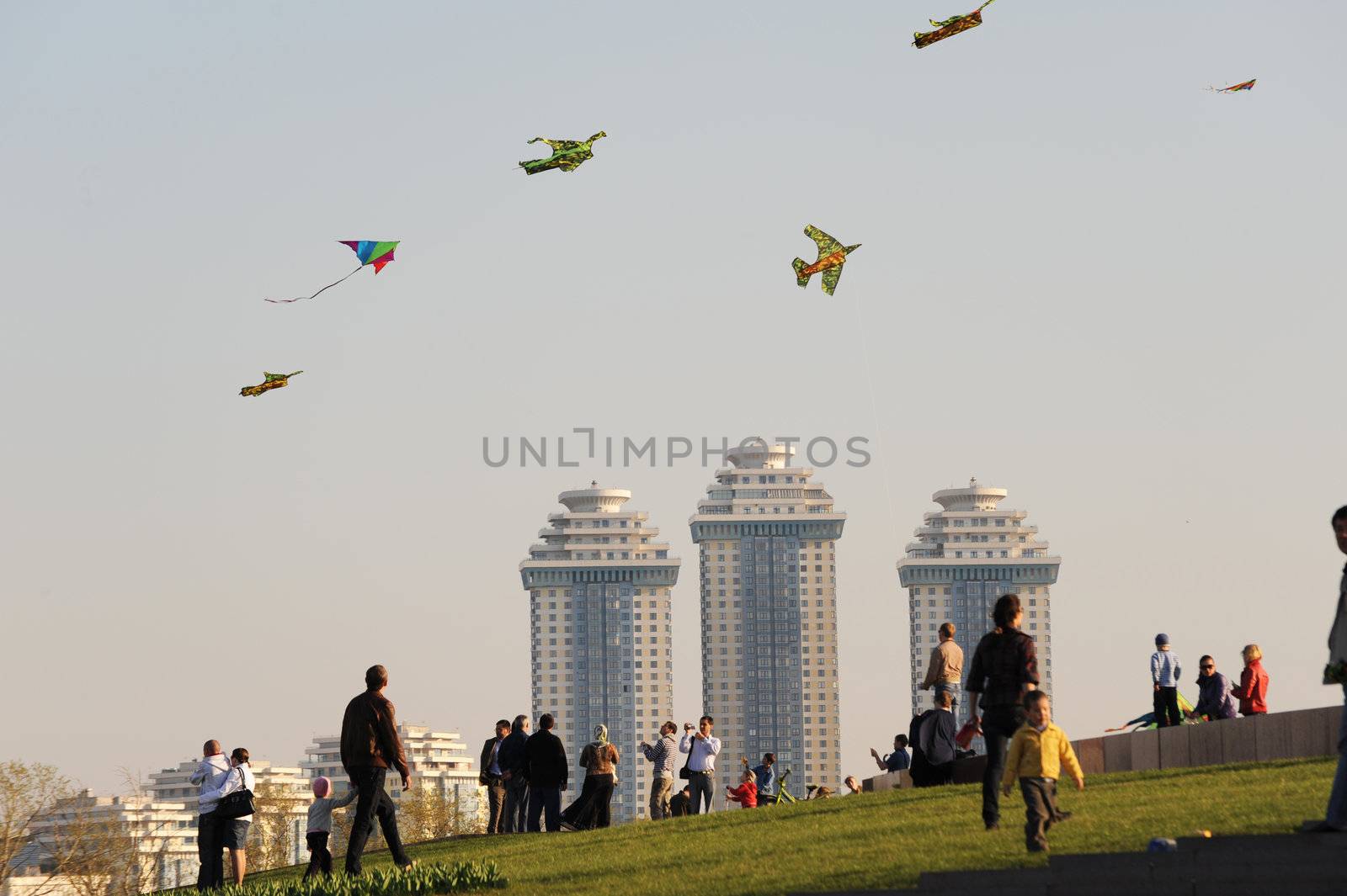The kites by Alenmax