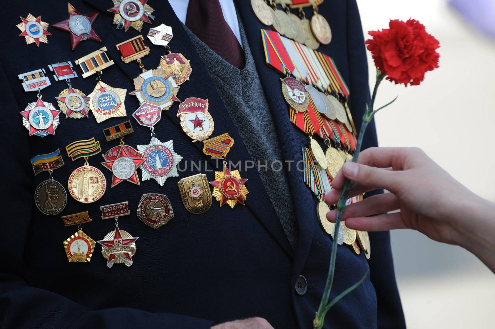 Flowers for veteran of war by Alenmax