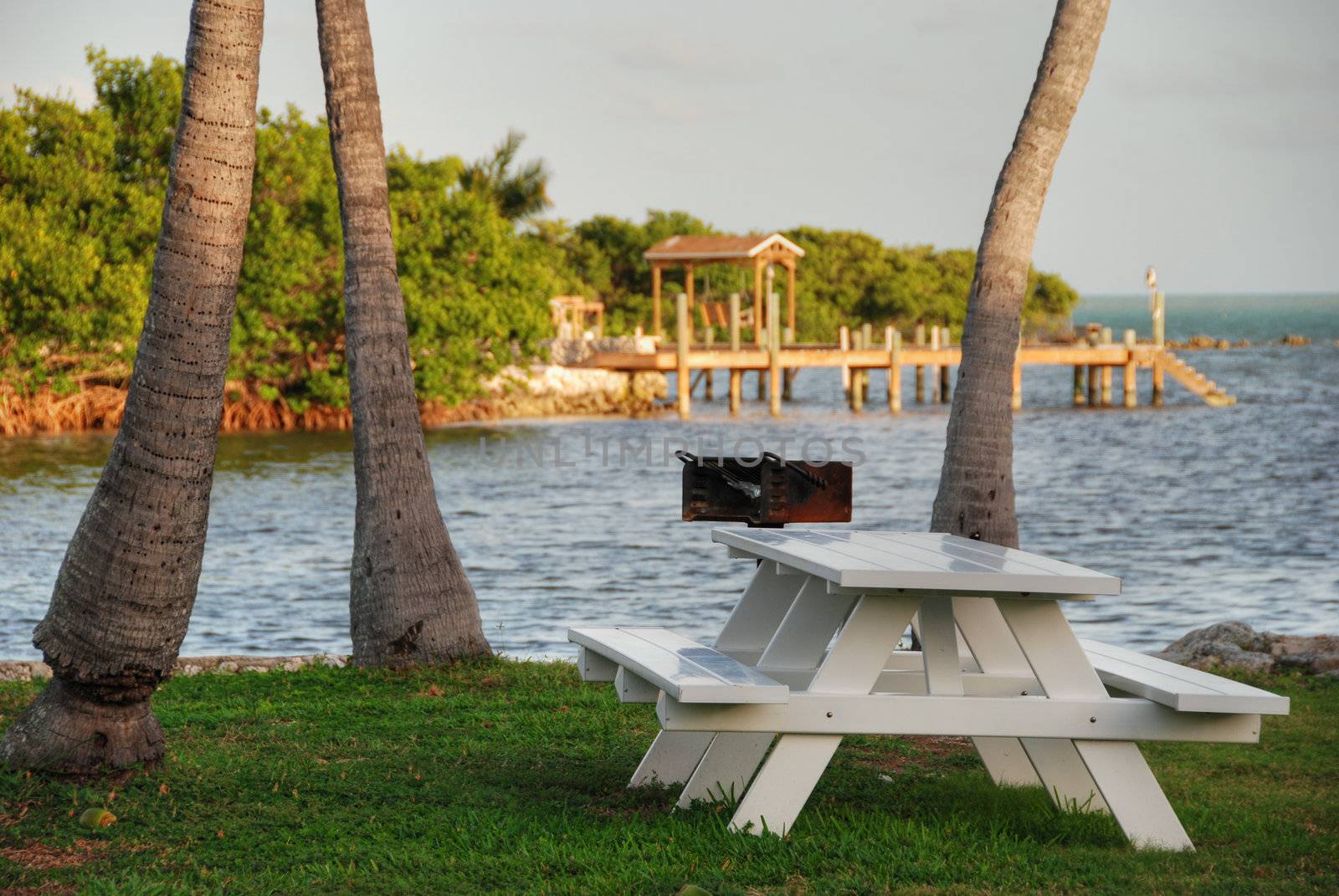 A relaxing bench in the heart of Keys Islands, Florida