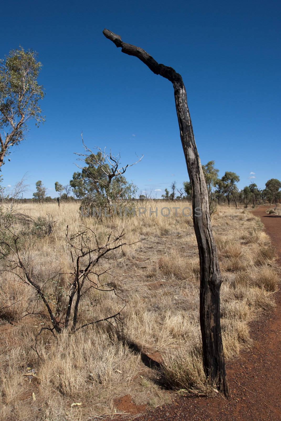 Uluru, Ayers Rock, Northern Territory, Australia, August 2009 by jovannig