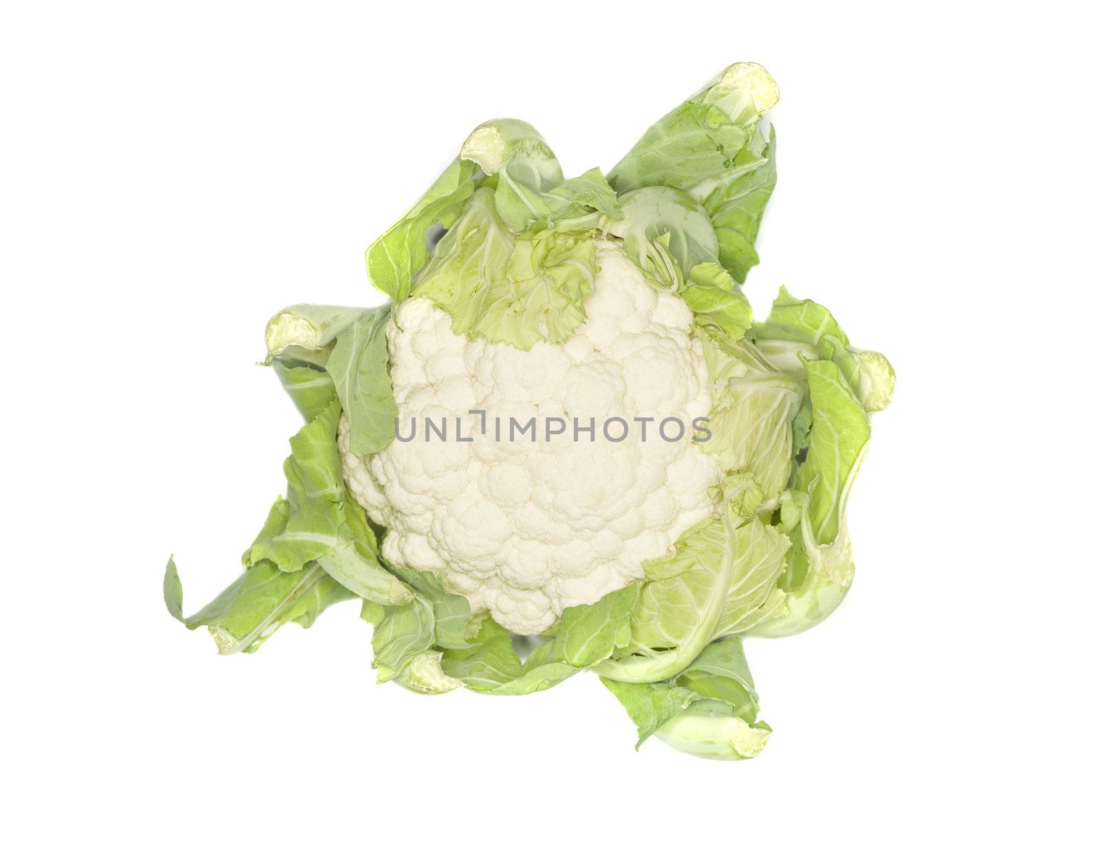 Fresh cauliflower by gemenacom