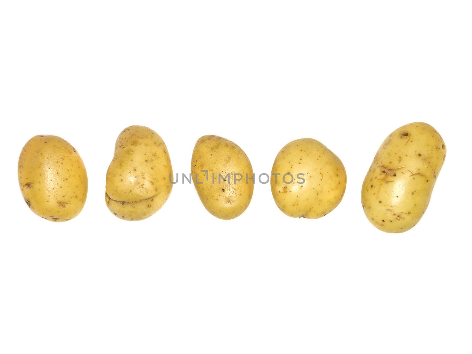 Potatoes on a row isolated on a white background