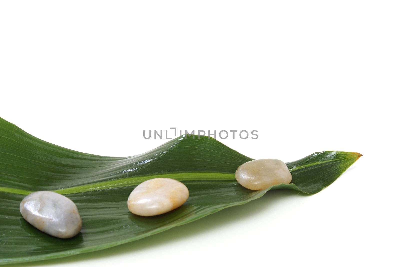 A large leaf with small stones placed along top.