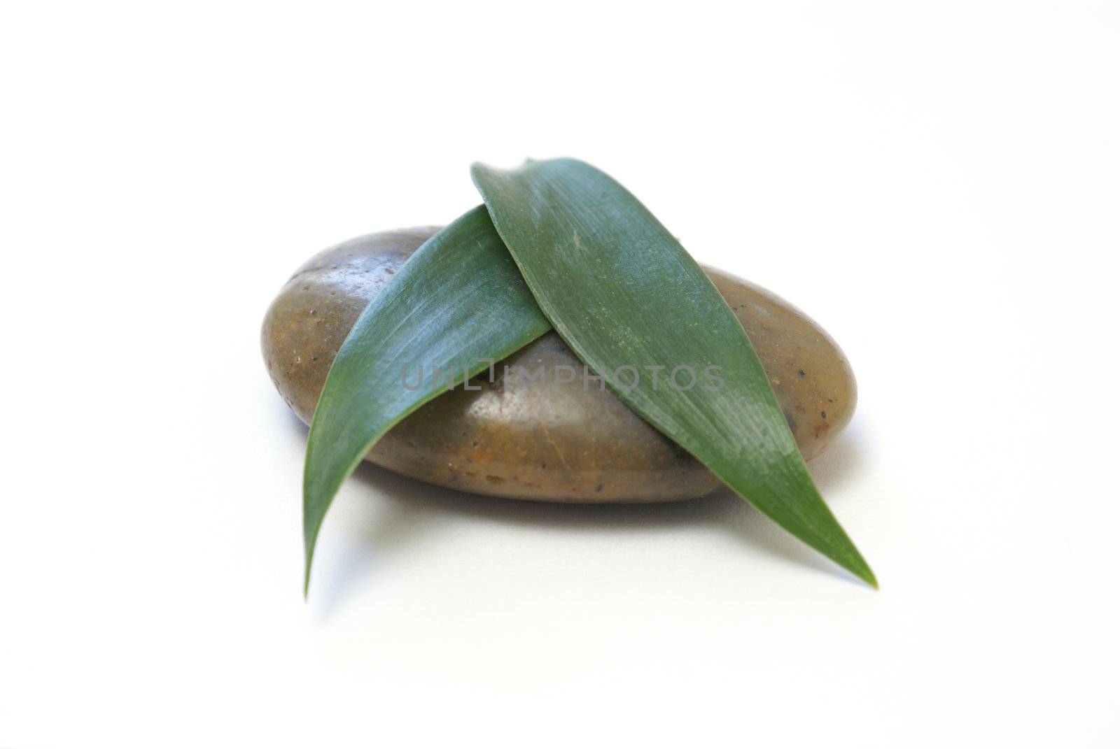 A smooth stone and a fresh green leaf.