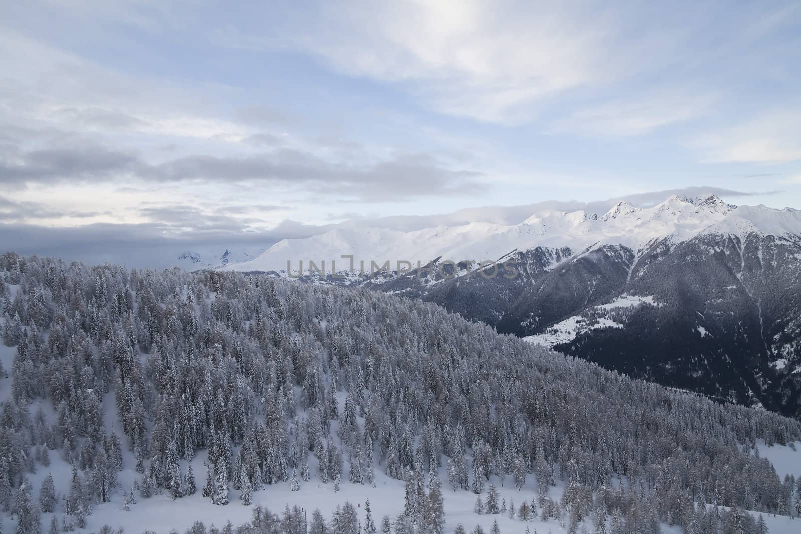 winter landscape - photo taken in italian dolomites