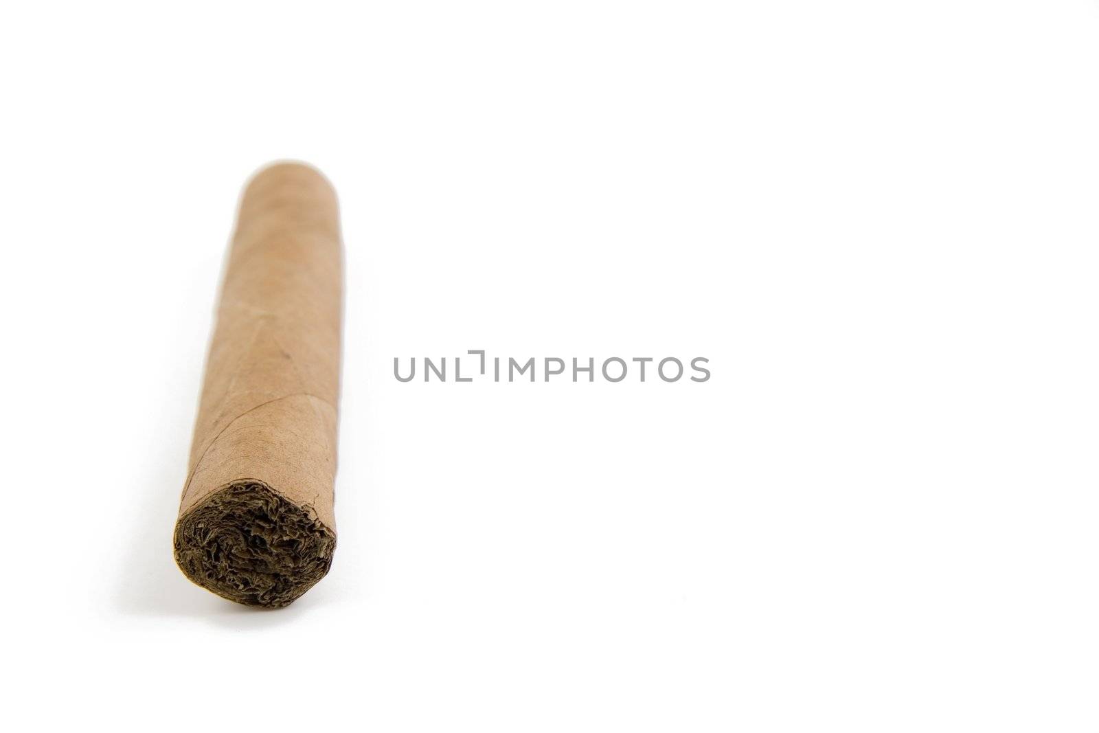 cuban cigar with copy space by furzyk73