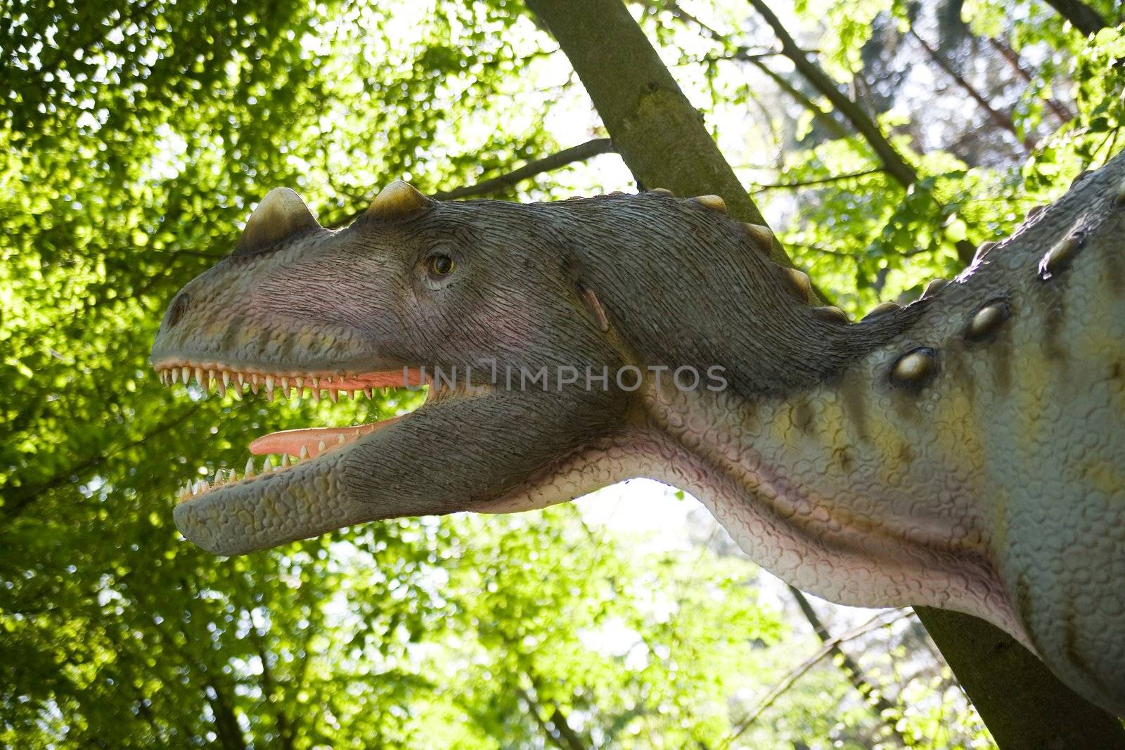 Jurassic park - set of dinosaurs - Ceratosaurus nasicornis