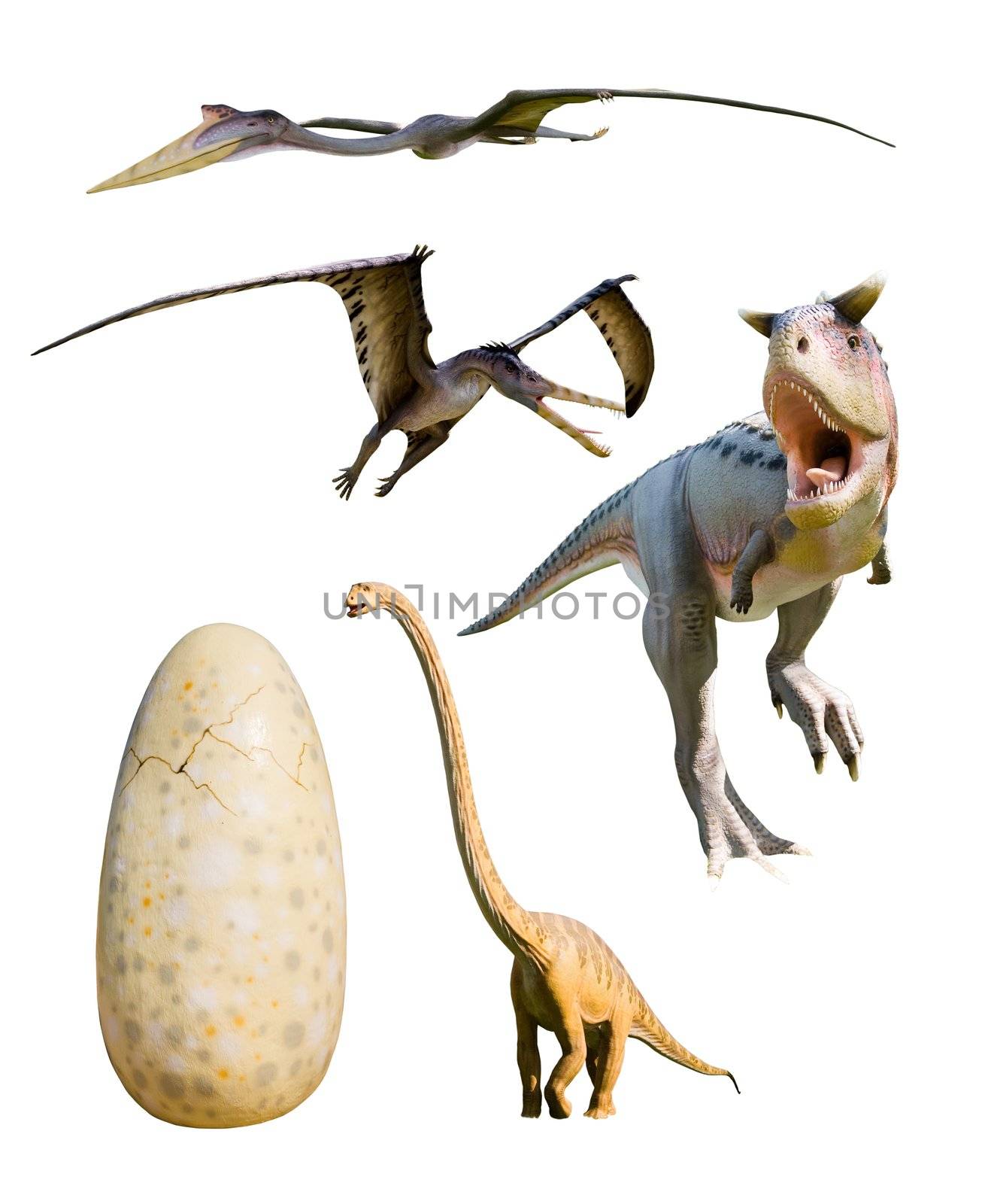 four most popular dinosaurs and an huge egg: Ceratosaurus nasicornis, Cearadactylus atrox, Mamenchisaurus constructus, Ceratosaurus Nasicornis - isolated on white with clipping paths