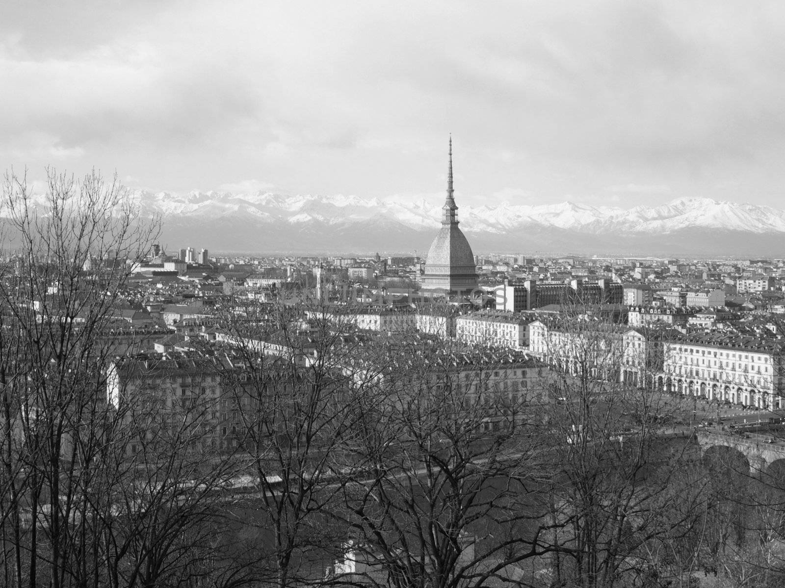 Turin panorama seen from the hill, with Mole Antonelliana (famous ugly wedding cake architecture)