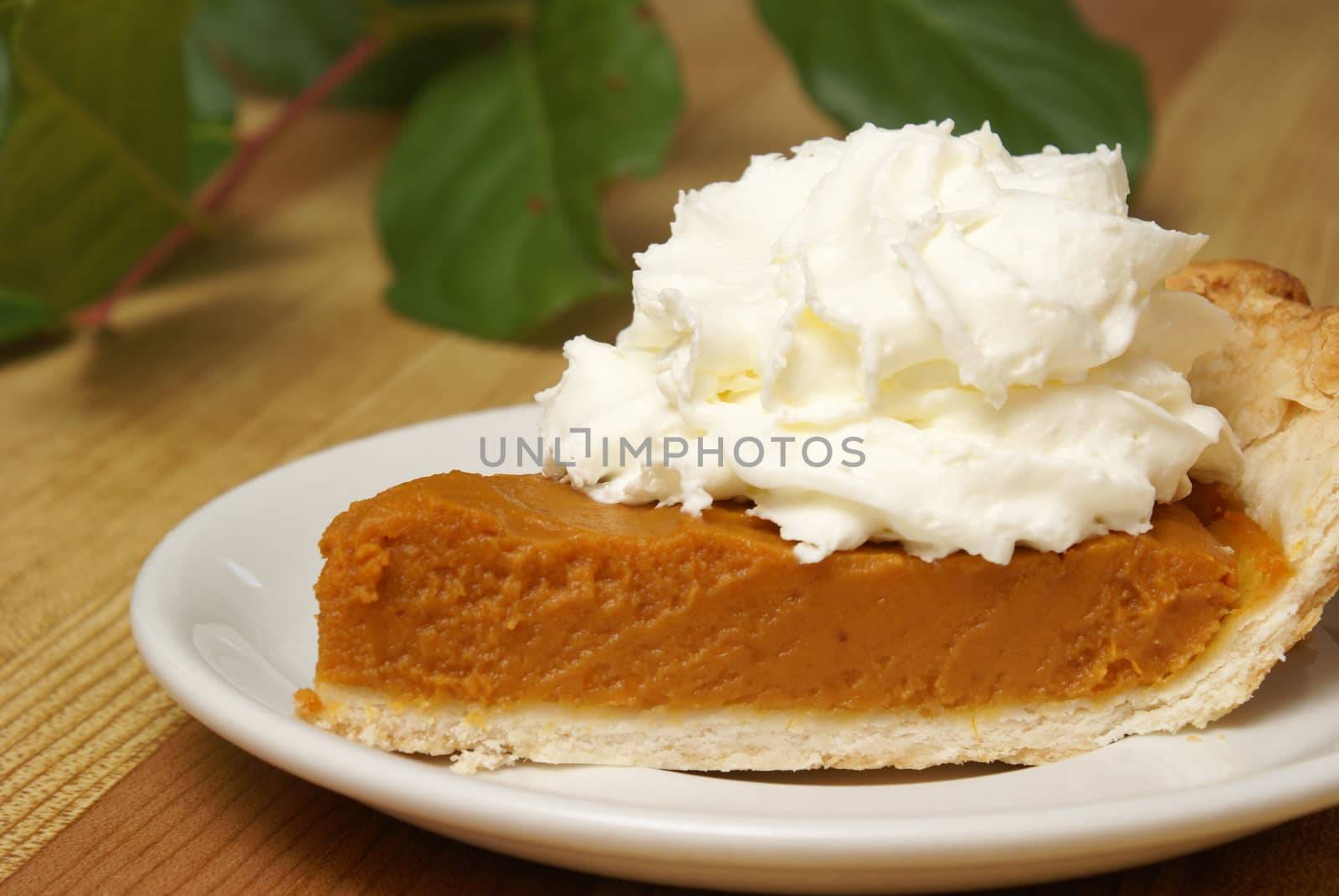 A fresh slice of pumpkin pie with whipped cream on top.