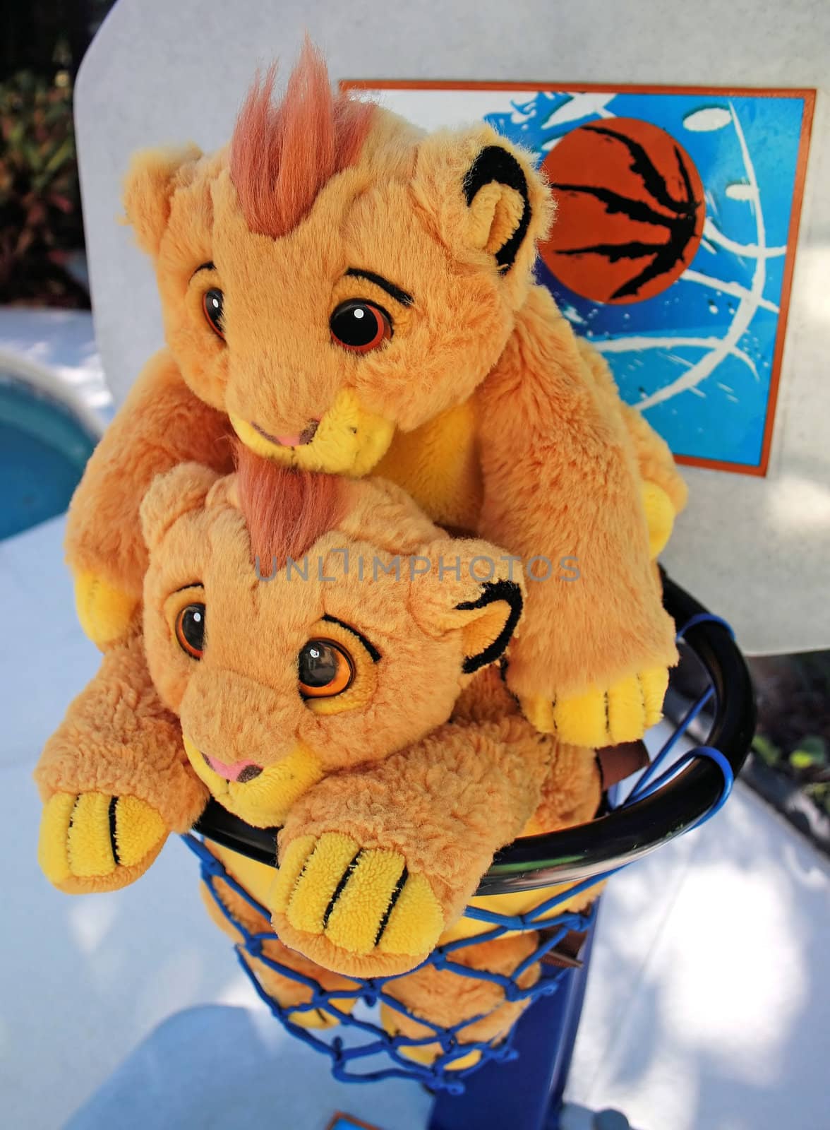 2 backpacks in a basketball hoop playing