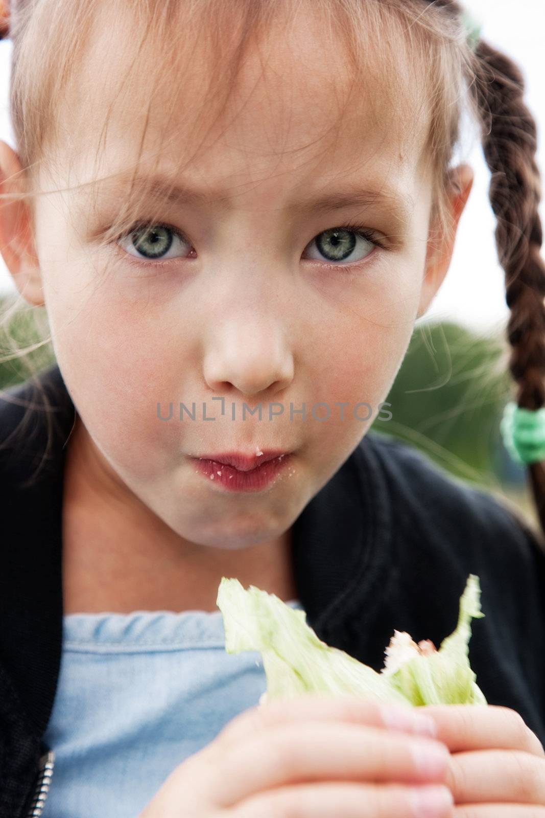 Little girl eats a sandwich
