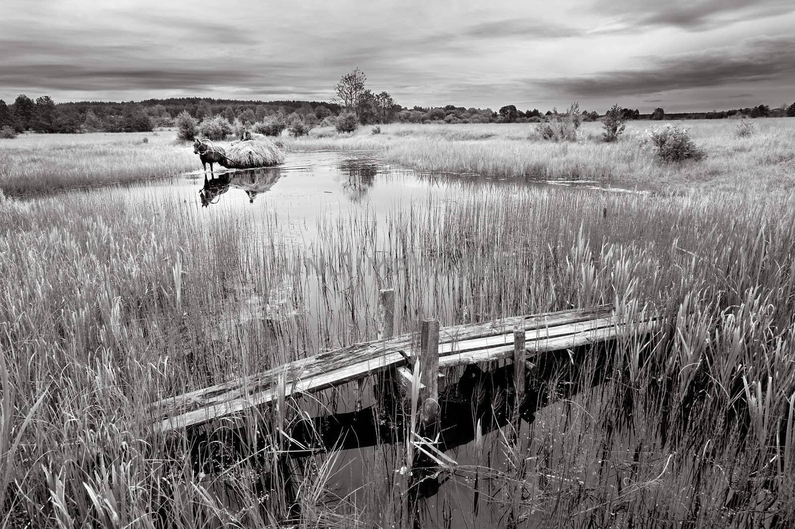 B/w colored landscape, meadow, stream, a cart carrying hay.