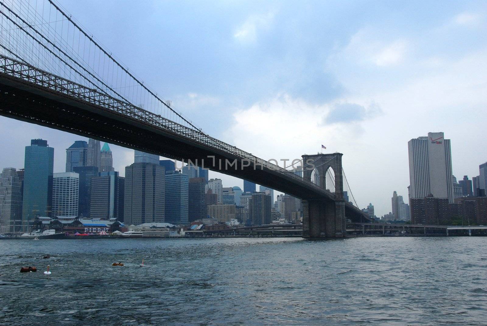  A few of the cables of the Brooklyn Bridge, New York