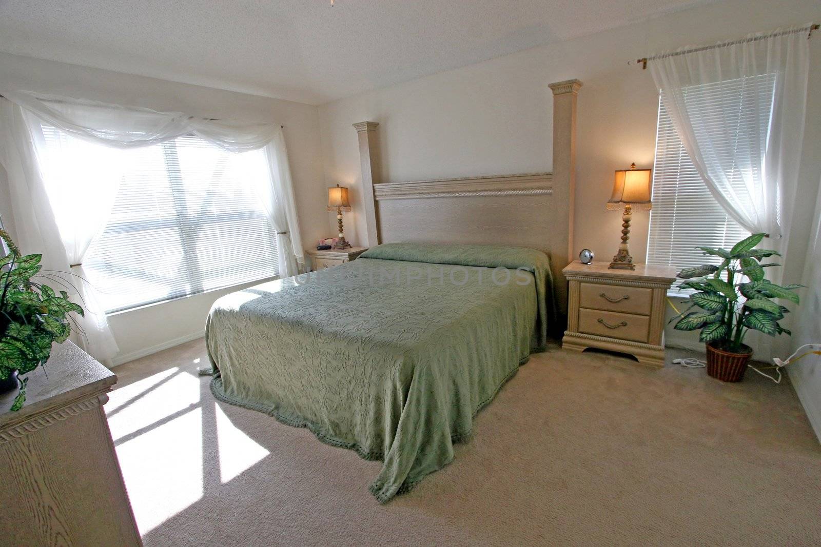 An Interior Home shot of a King Master Bedroom