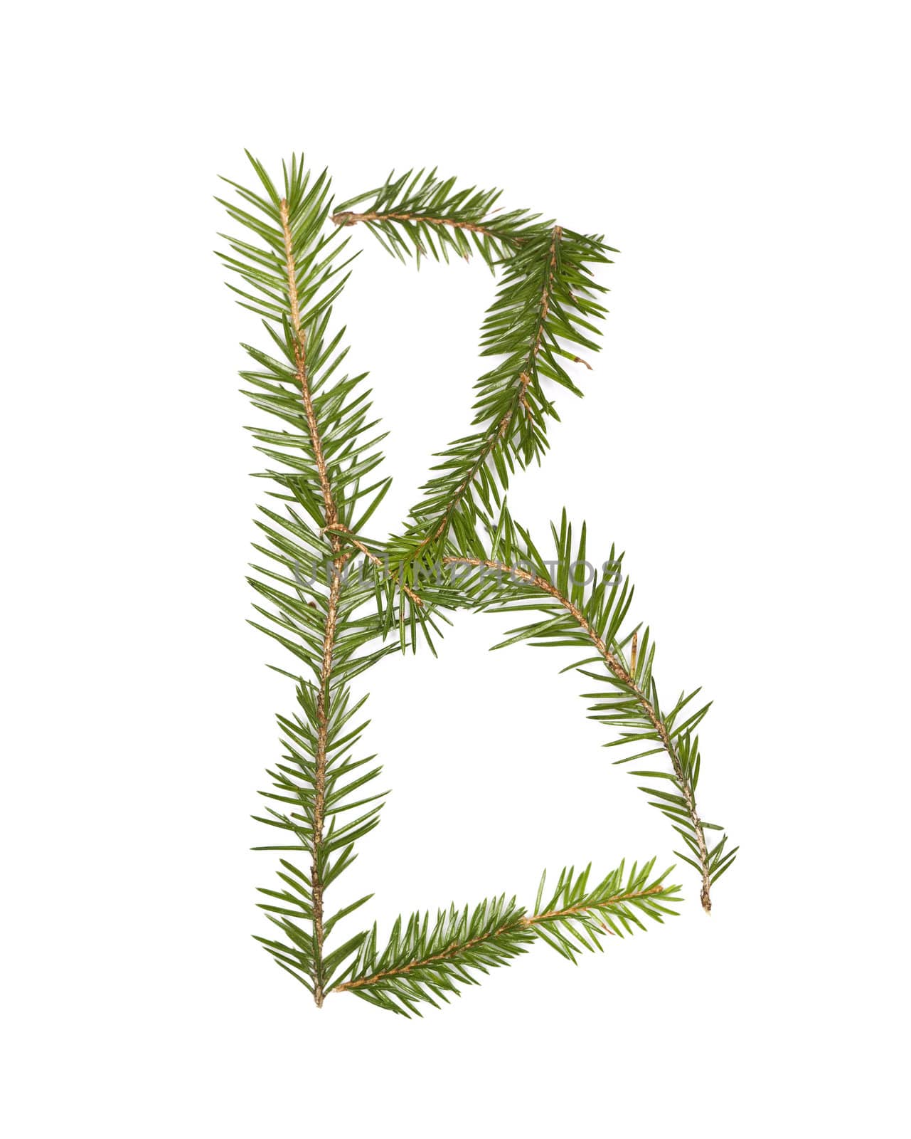 Spruce twigs forming the letter 'B' isolated on white