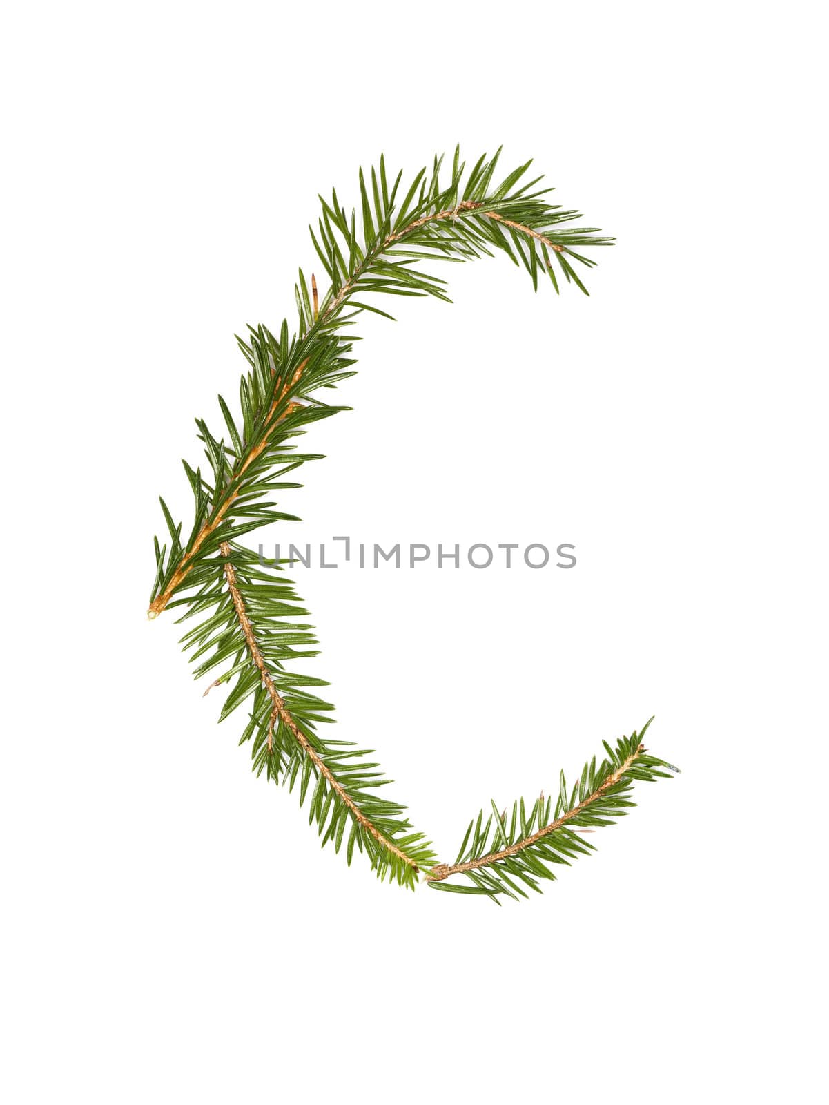 Spruce twigs forming the letter 'C' by gemenacom