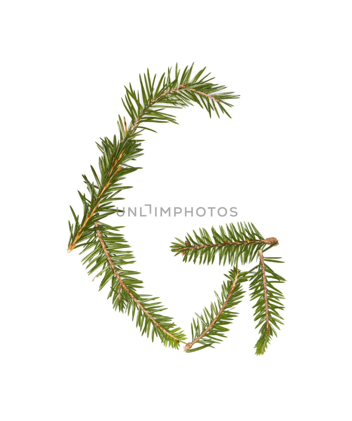 Spruce twigs forming the letter 'G' by gemenacom