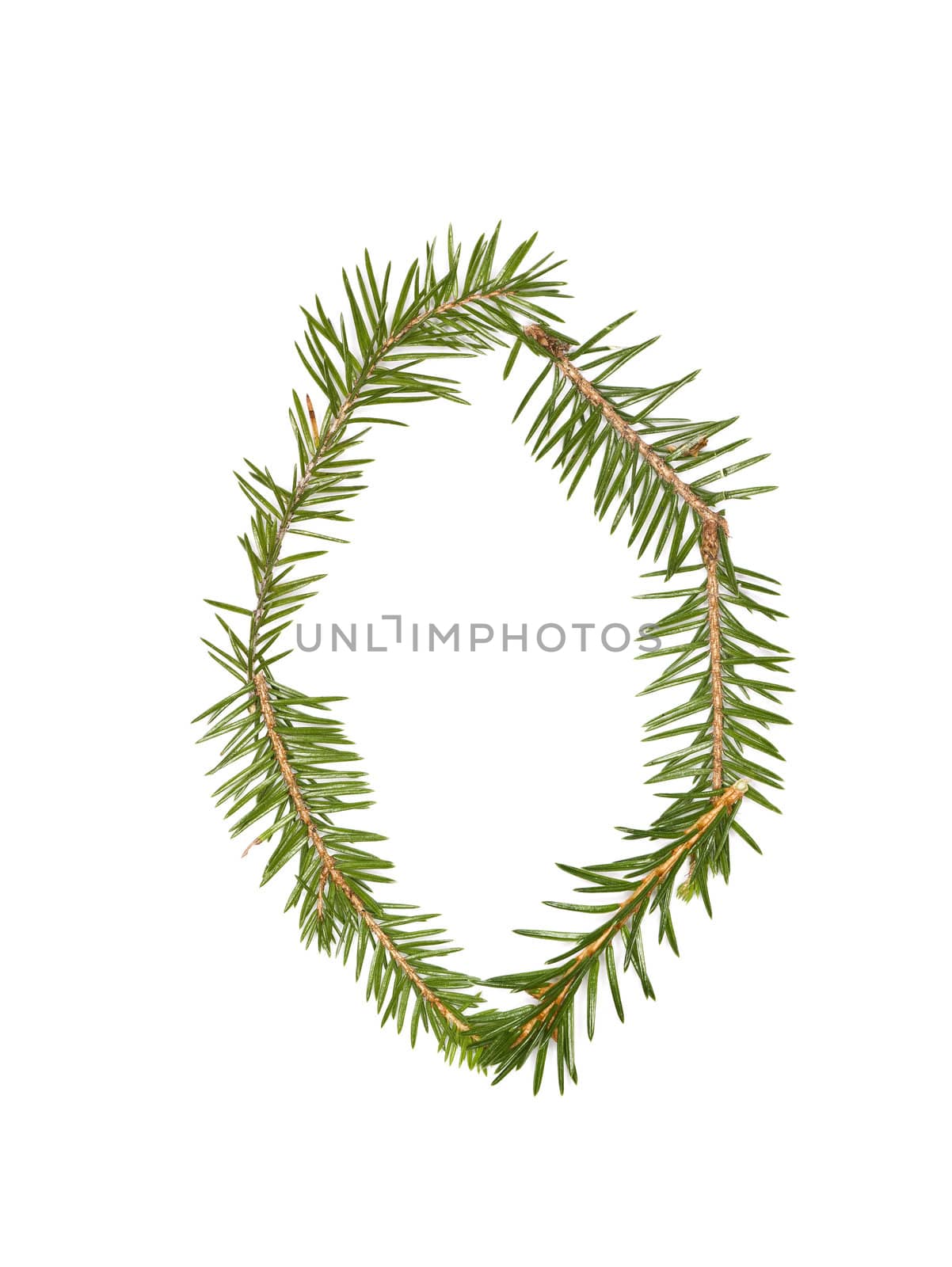 Spruce twigs forming the letter 'O' by gemenacom