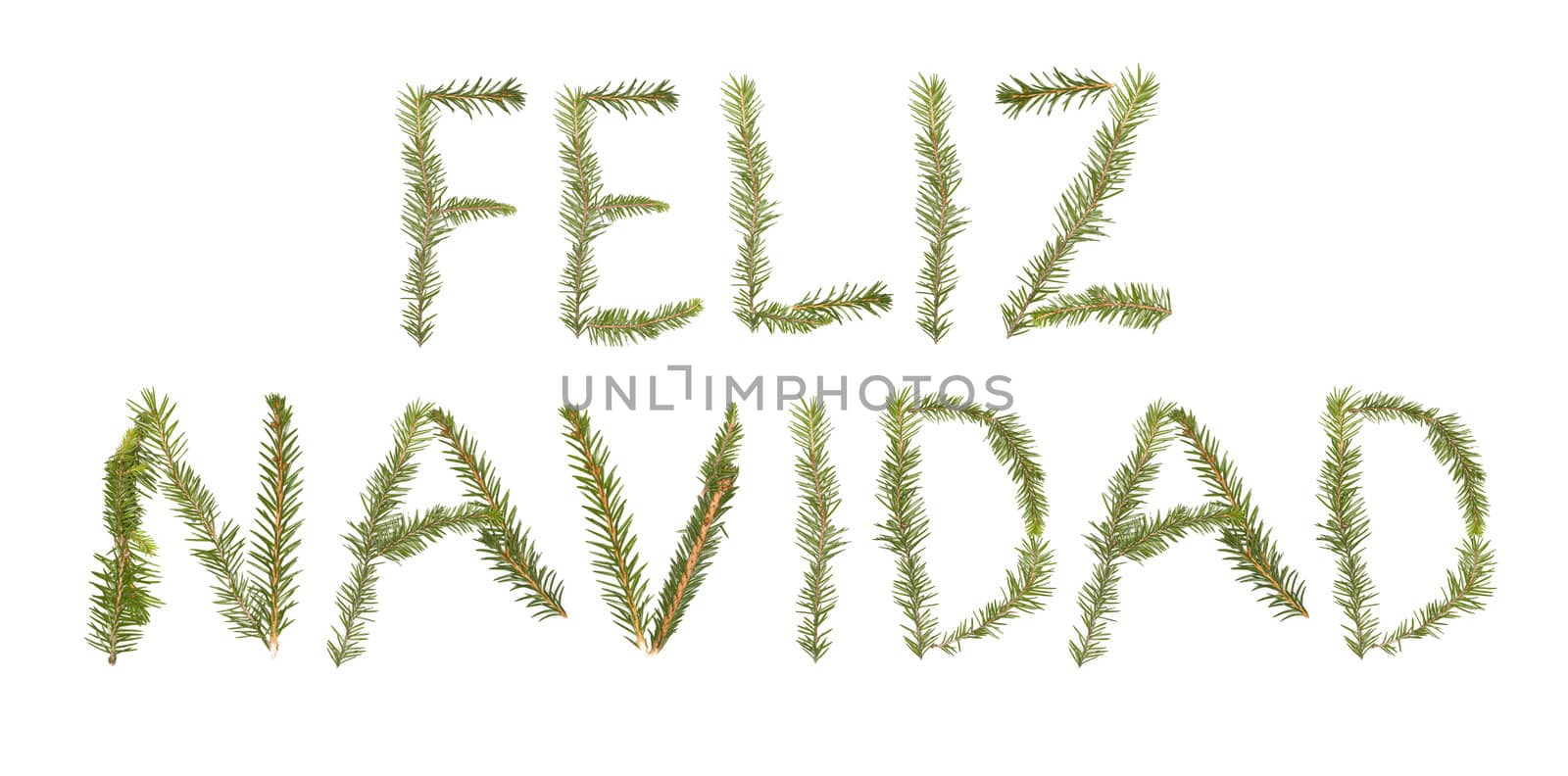 Spruce twigs forming the phrase 'Feliz Navidad' isolated on white