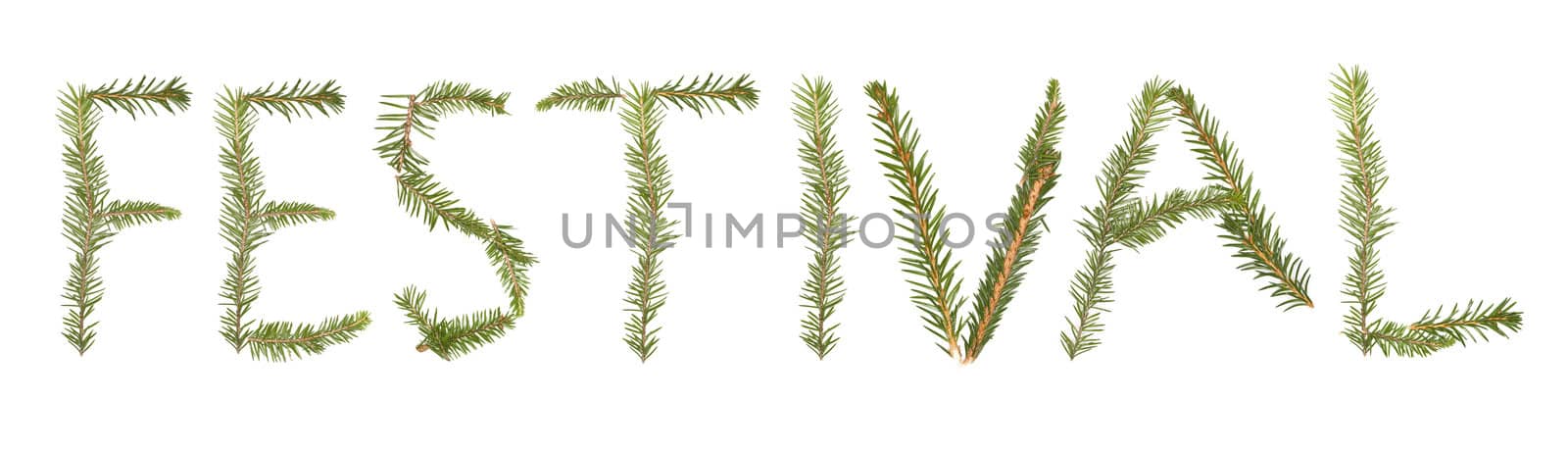 Spruce twigs forming the phrase 'Festival'' isolated on white