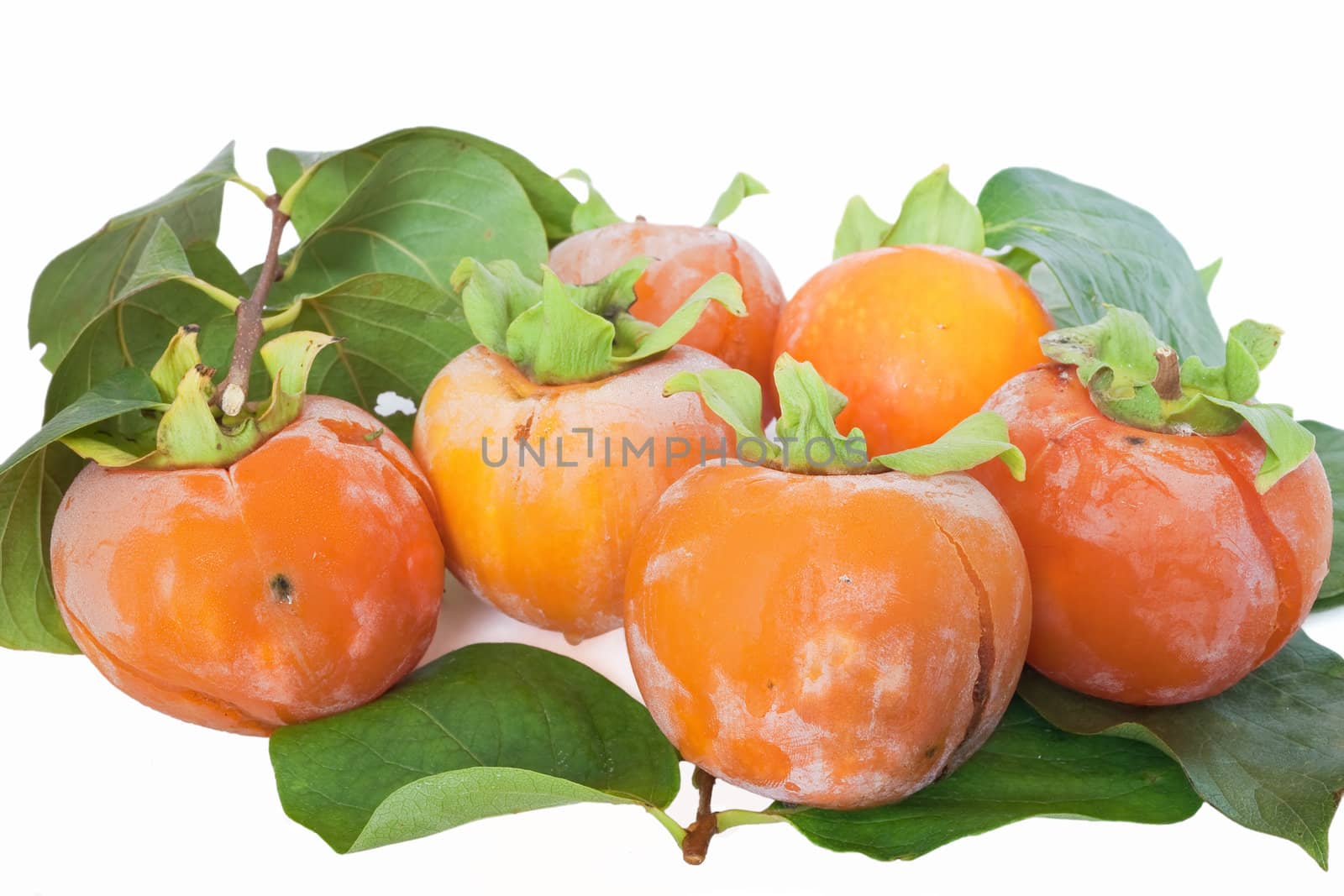 group ripe persimmons isolated on white background