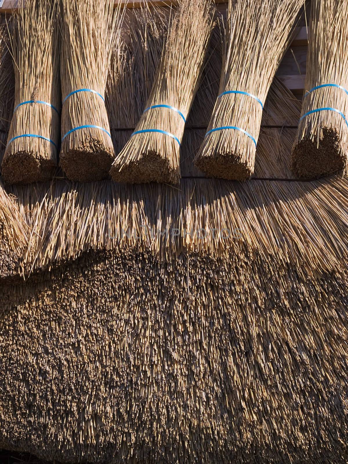 Traditional country house with old style thatched straw roof 