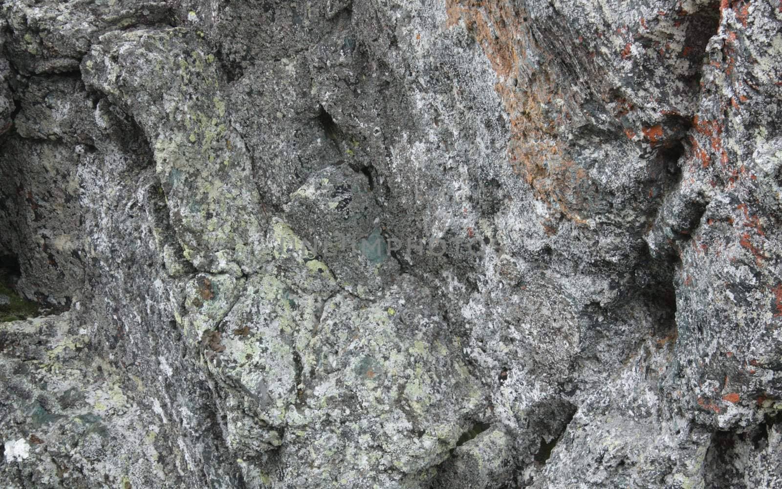 natural stone texture covered with lichen