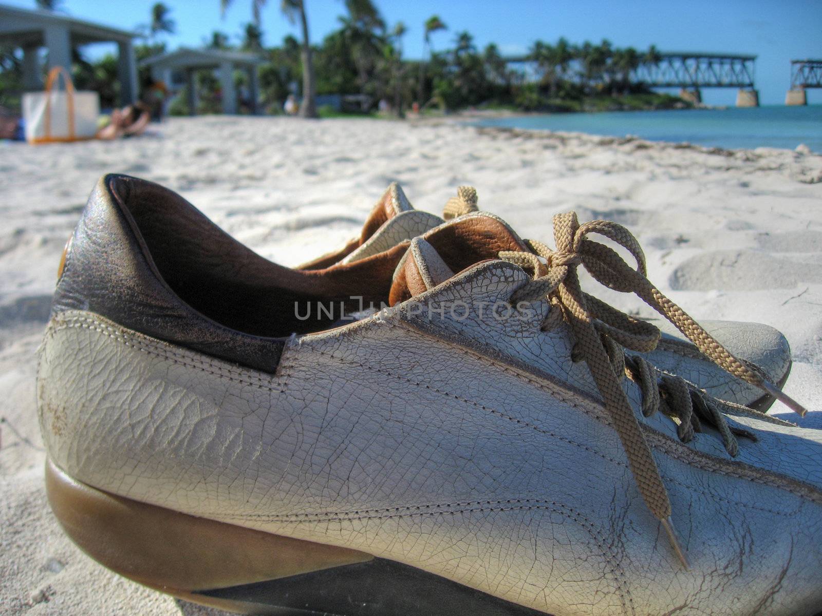 Shoe Detail in Bahia Honda State Park, Keys Islands