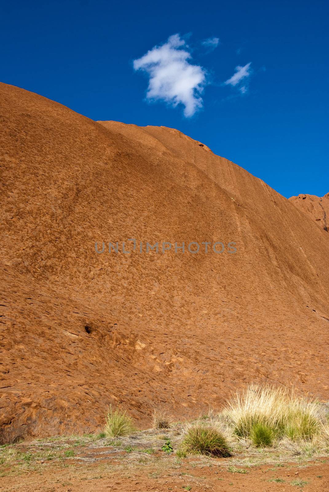 Detail of the Ayers Rock National Park, Northern Territory, Australia, August 2009