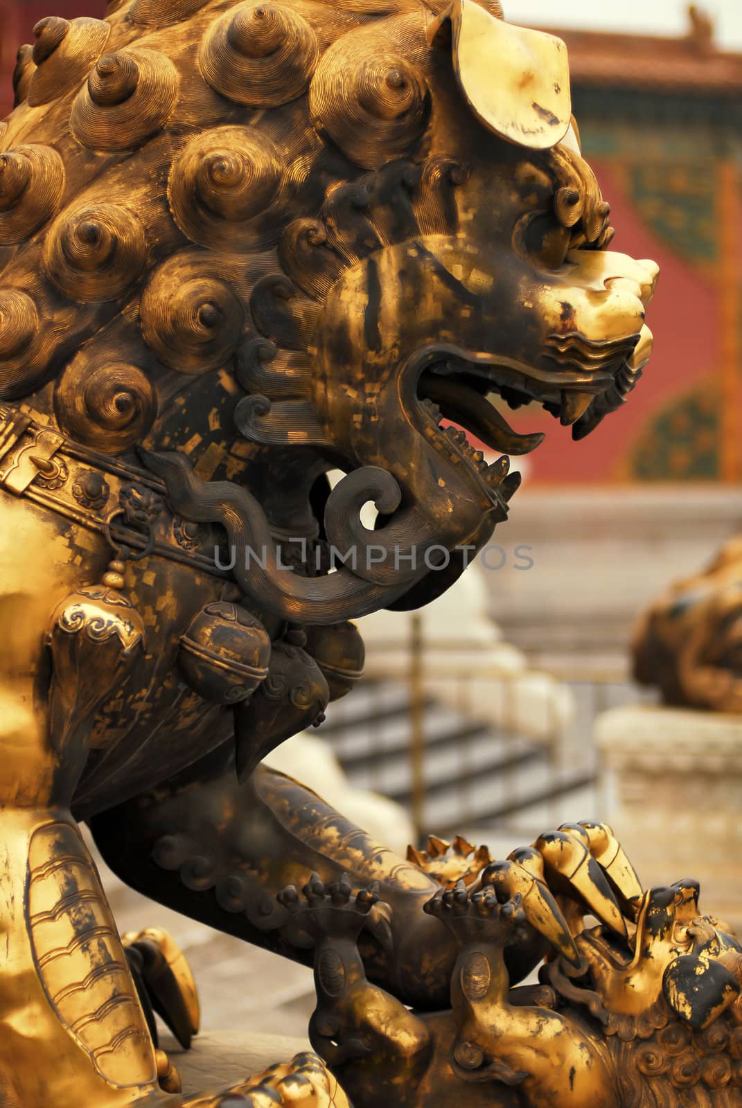 Golden Chinese lion guard  statue in Forbidden City in Beijing
