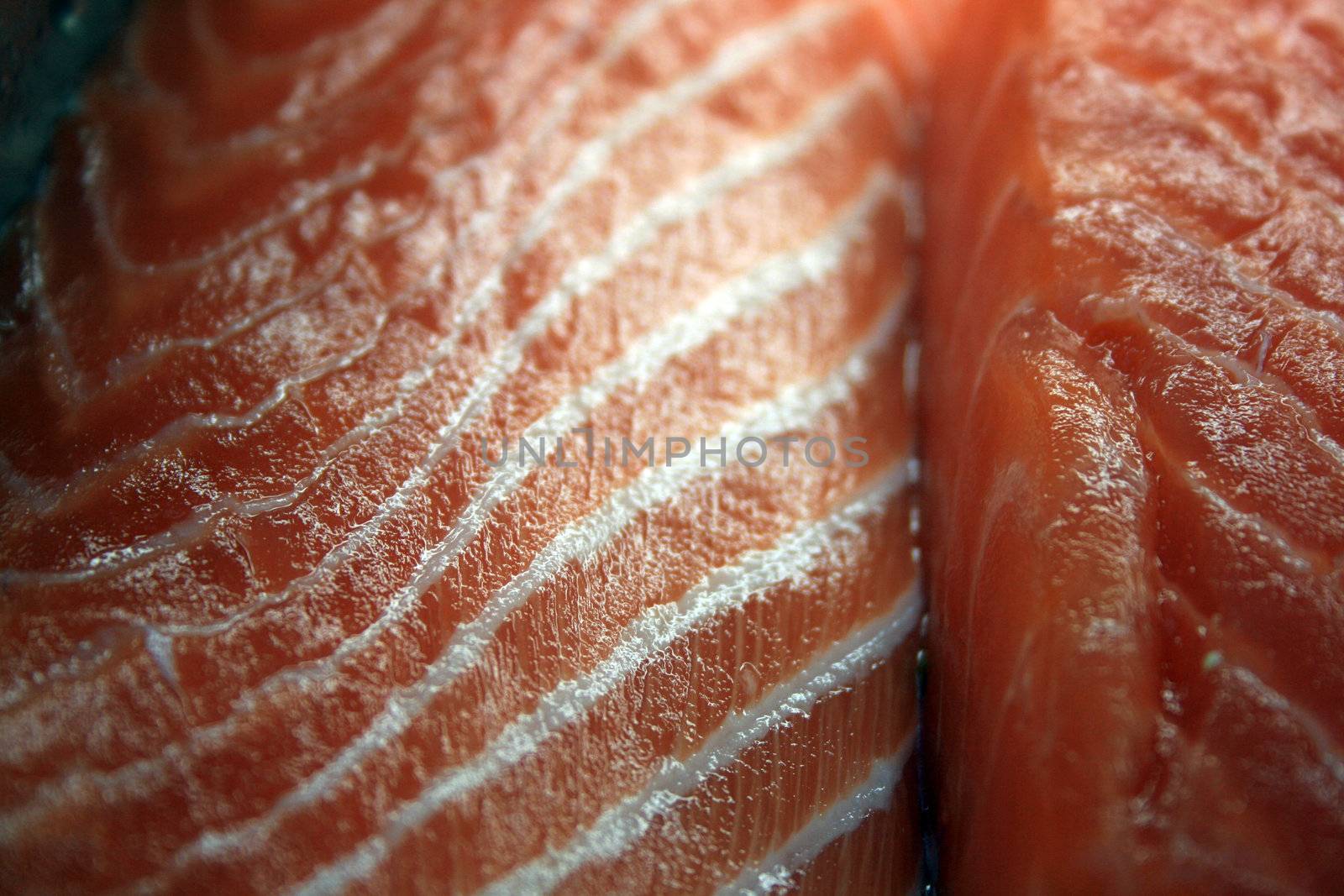 macro detail of fresh salmon fish fillet