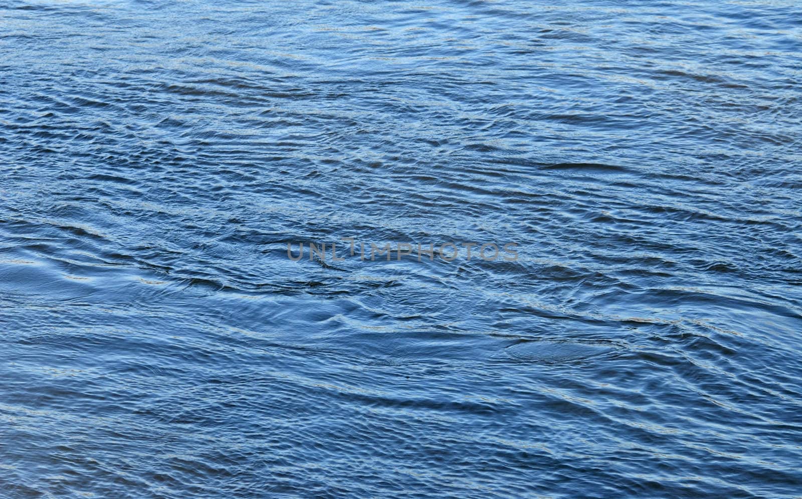 Water surface rippled by the wind.