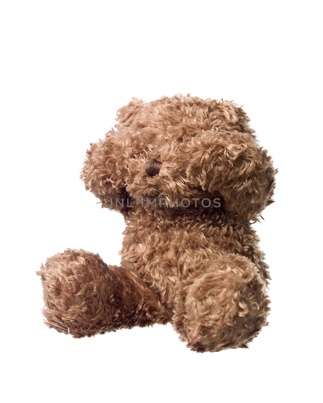 Shy Teddy bear isolated on white background