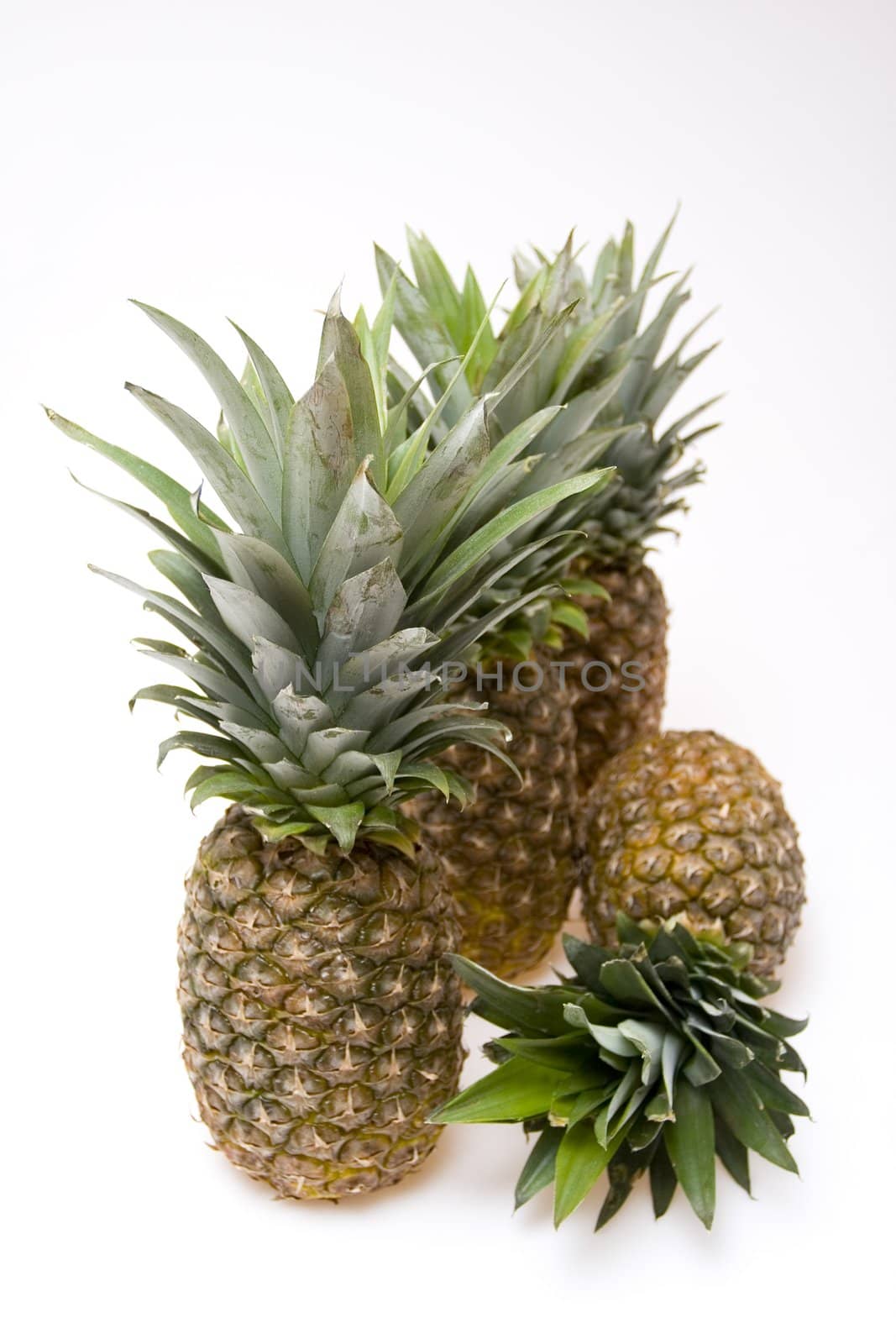 Pineapple by shiffti