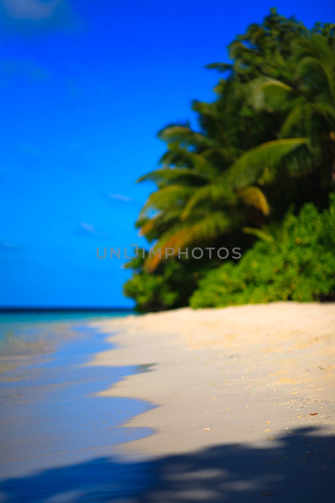 Tropical Paradise at Maldives with palms and blue sky