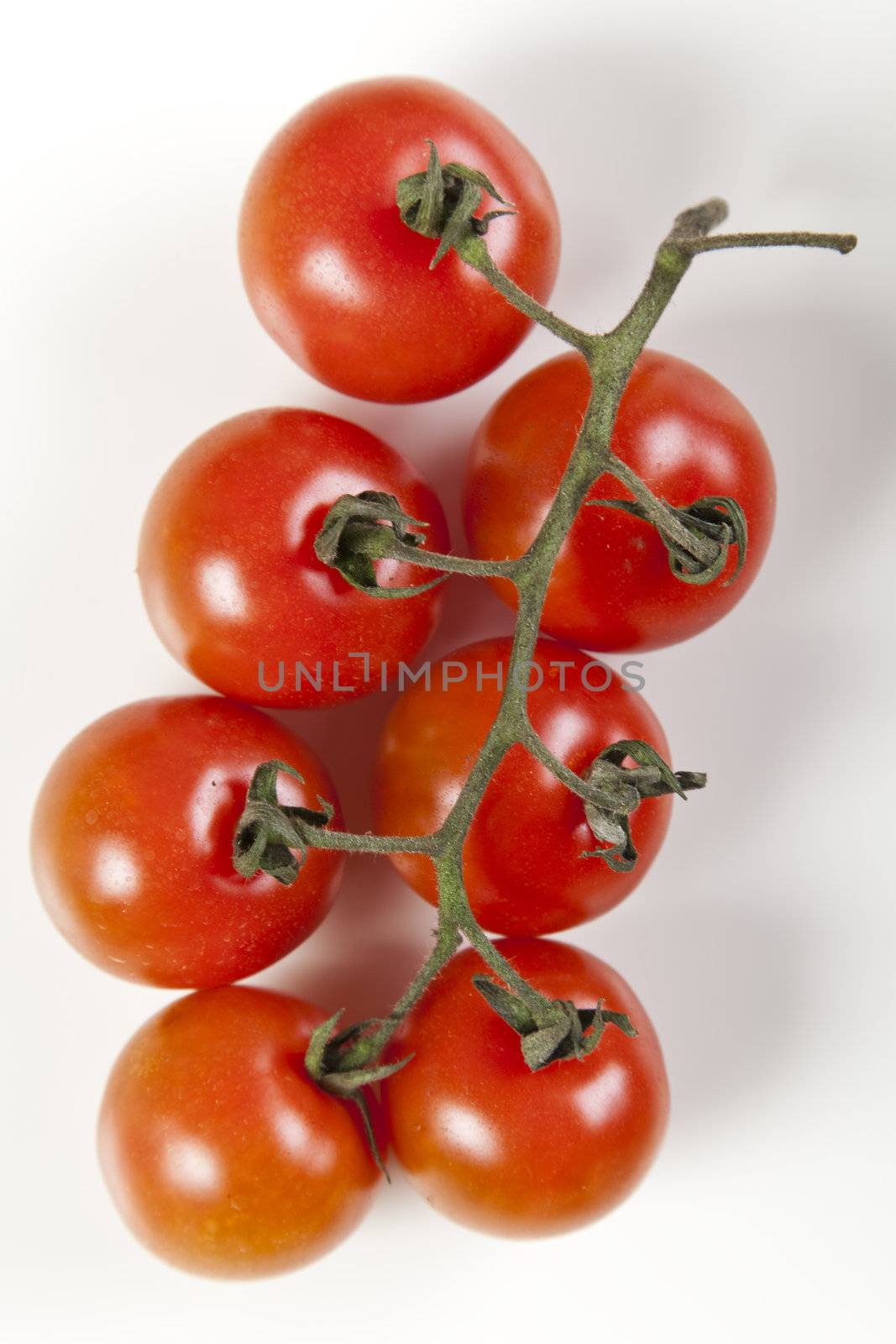Ripe red tomatoes on a white background with clipping path