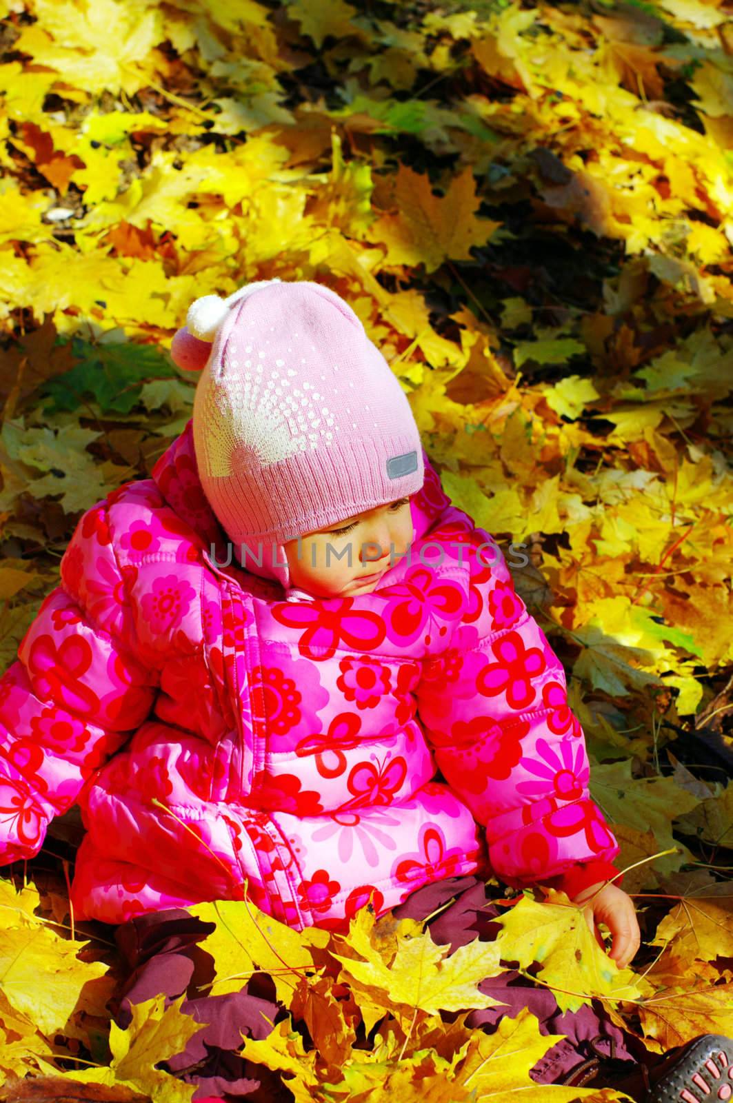 Small baby in autumn forest with yellow maple leaves by dolnikow