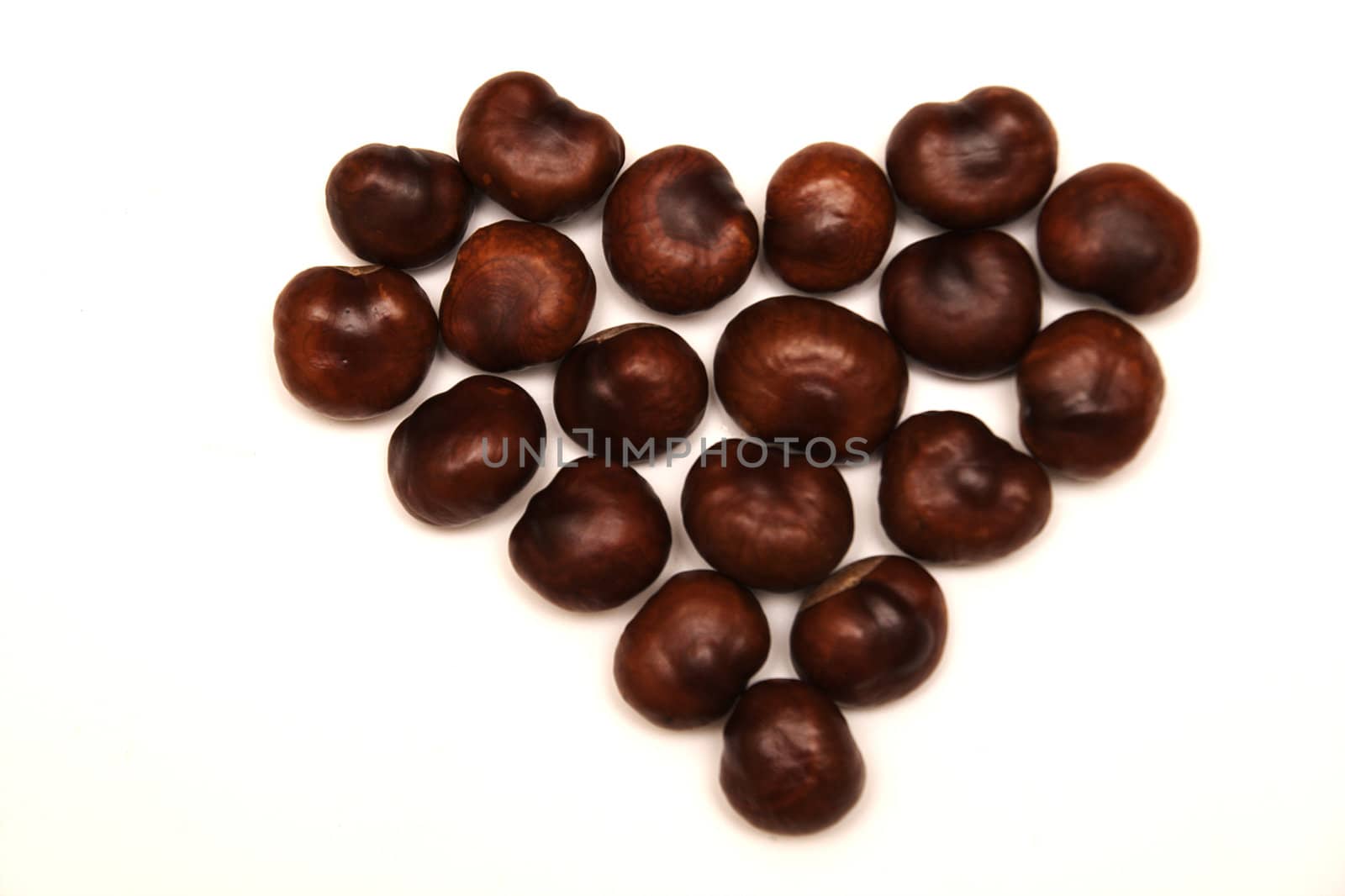chestnut heart by alkorphoto