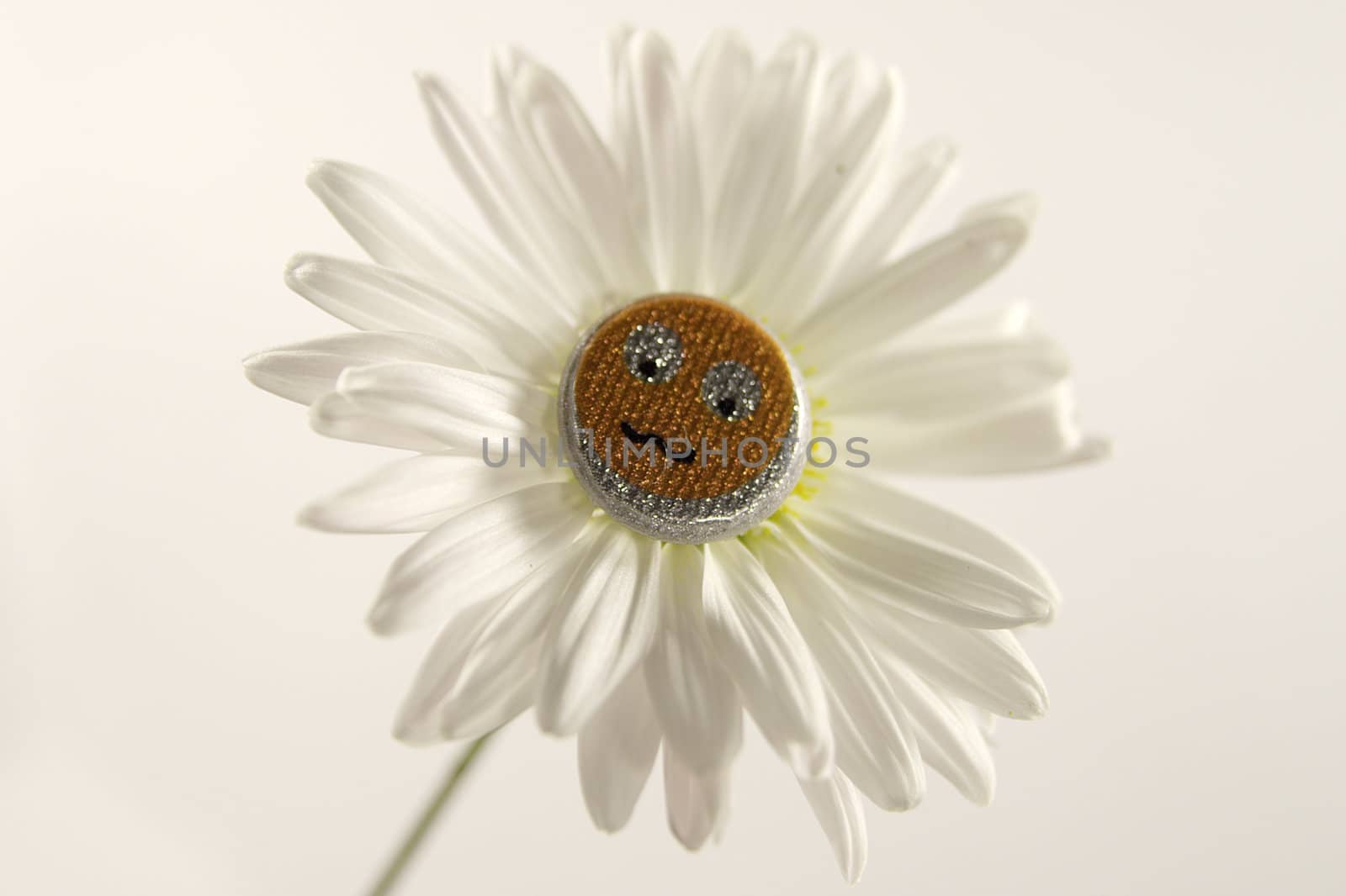 white daisy with smile in center