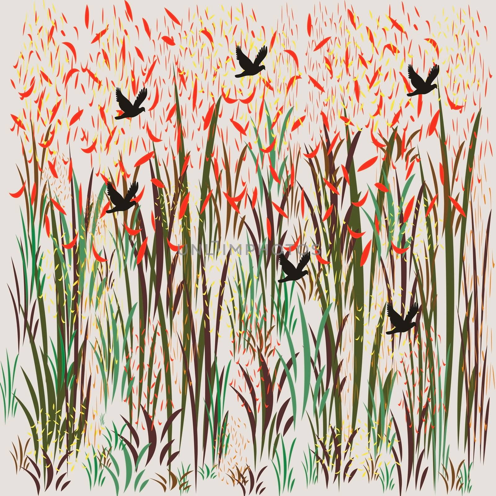 Birds flying through the grasslands by hicster