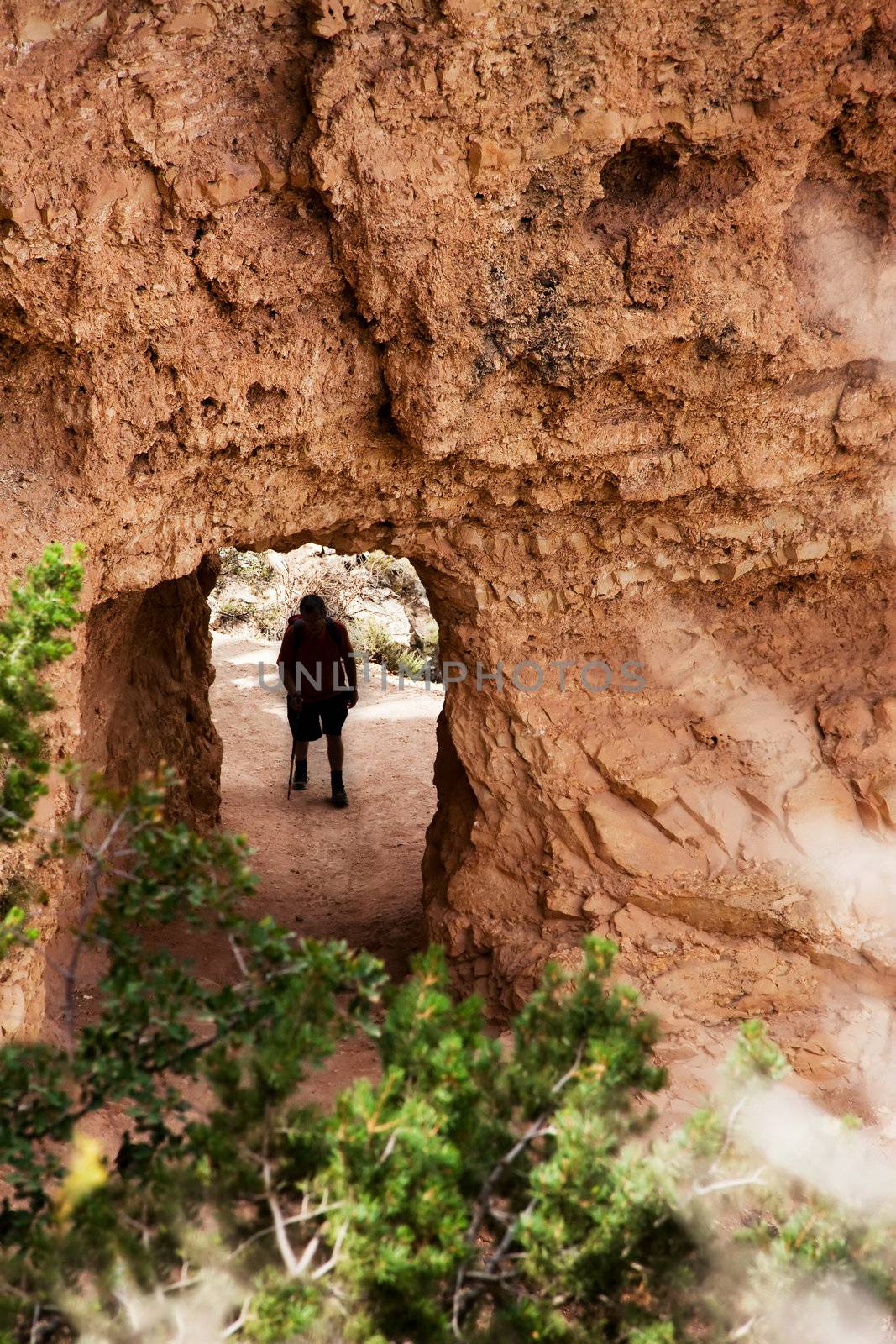 Hiker on Bright Angel trail in the Grand Canyon from above